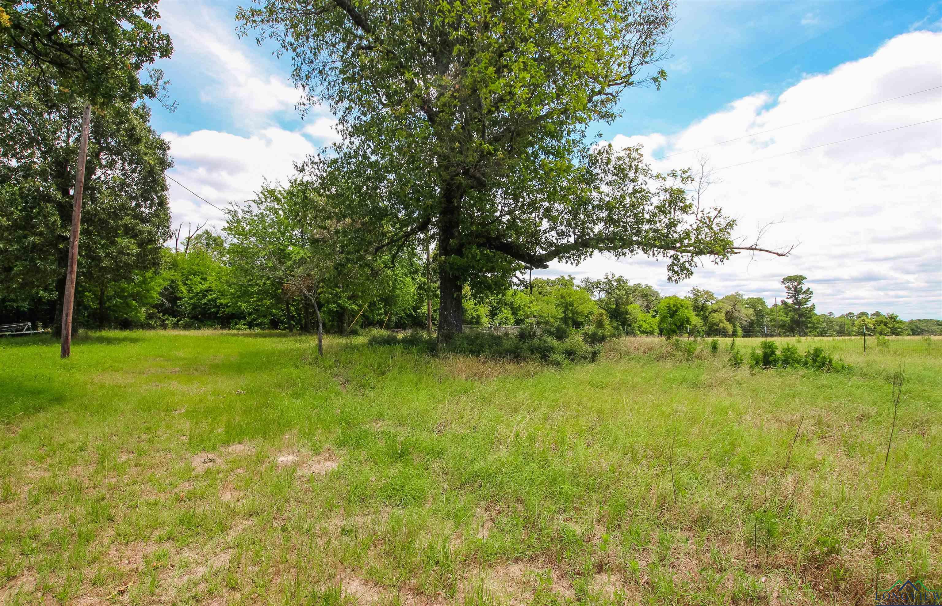 923 Cr 2650, Mineola, Texas image 41