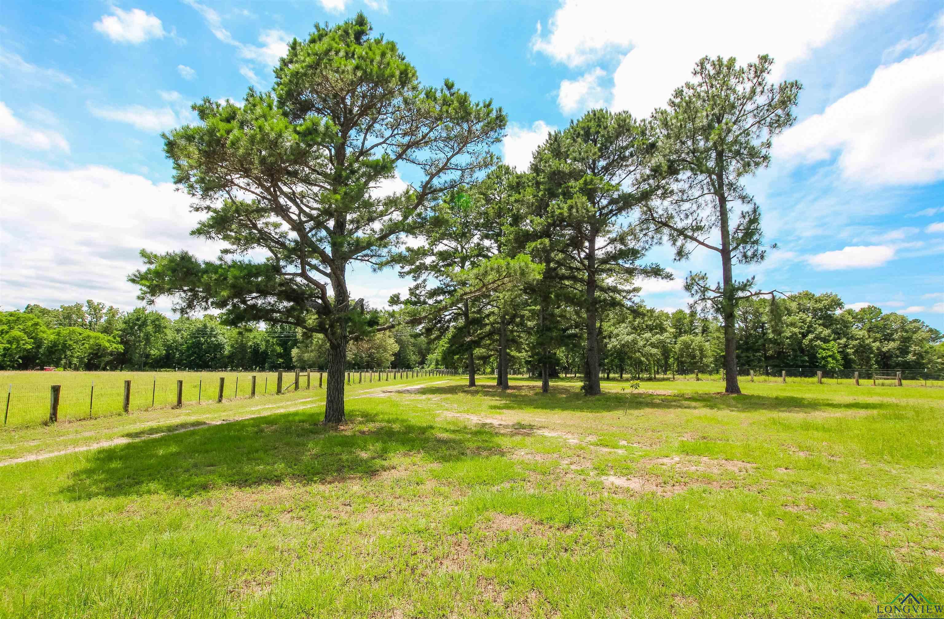 923 Cr 2650, Mineola, Texas image 3