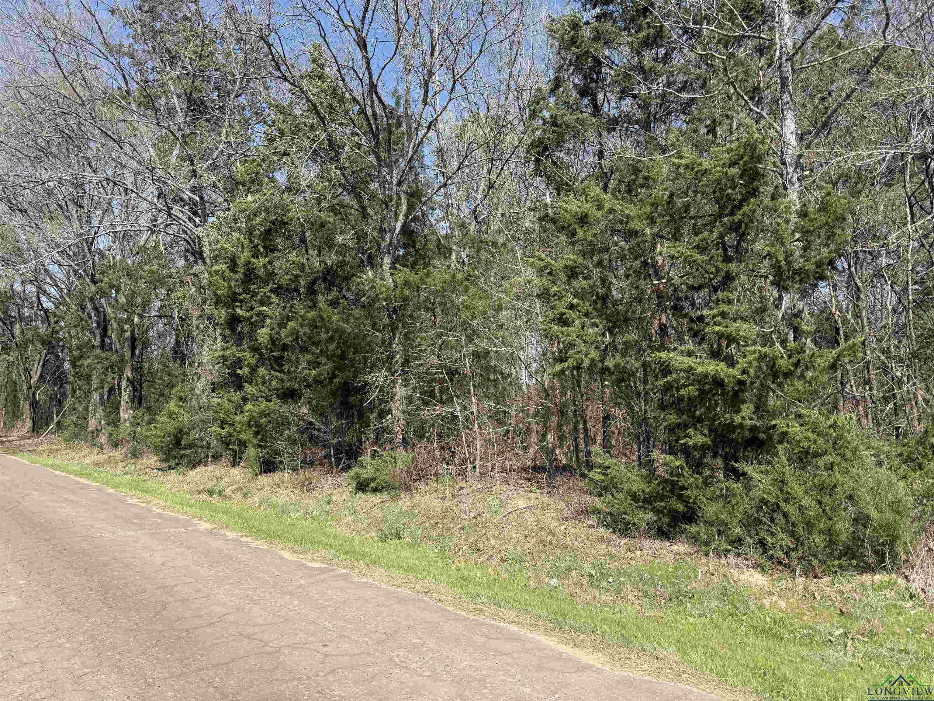 TBD Woodchuck Rd, Pittsburg, Texas image 4