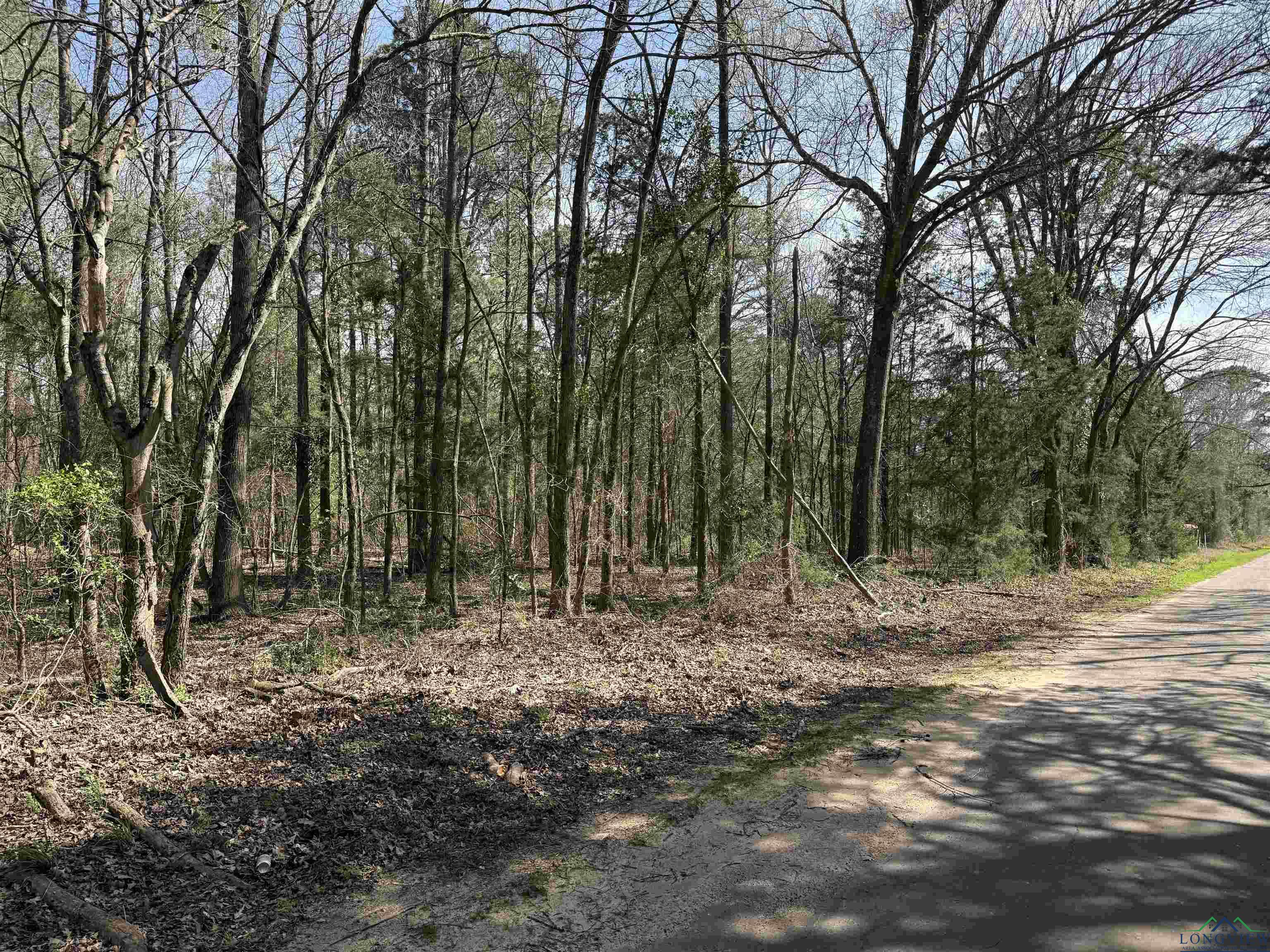 TBD Woodchuck Rd, Pittsburg, Texas image 1