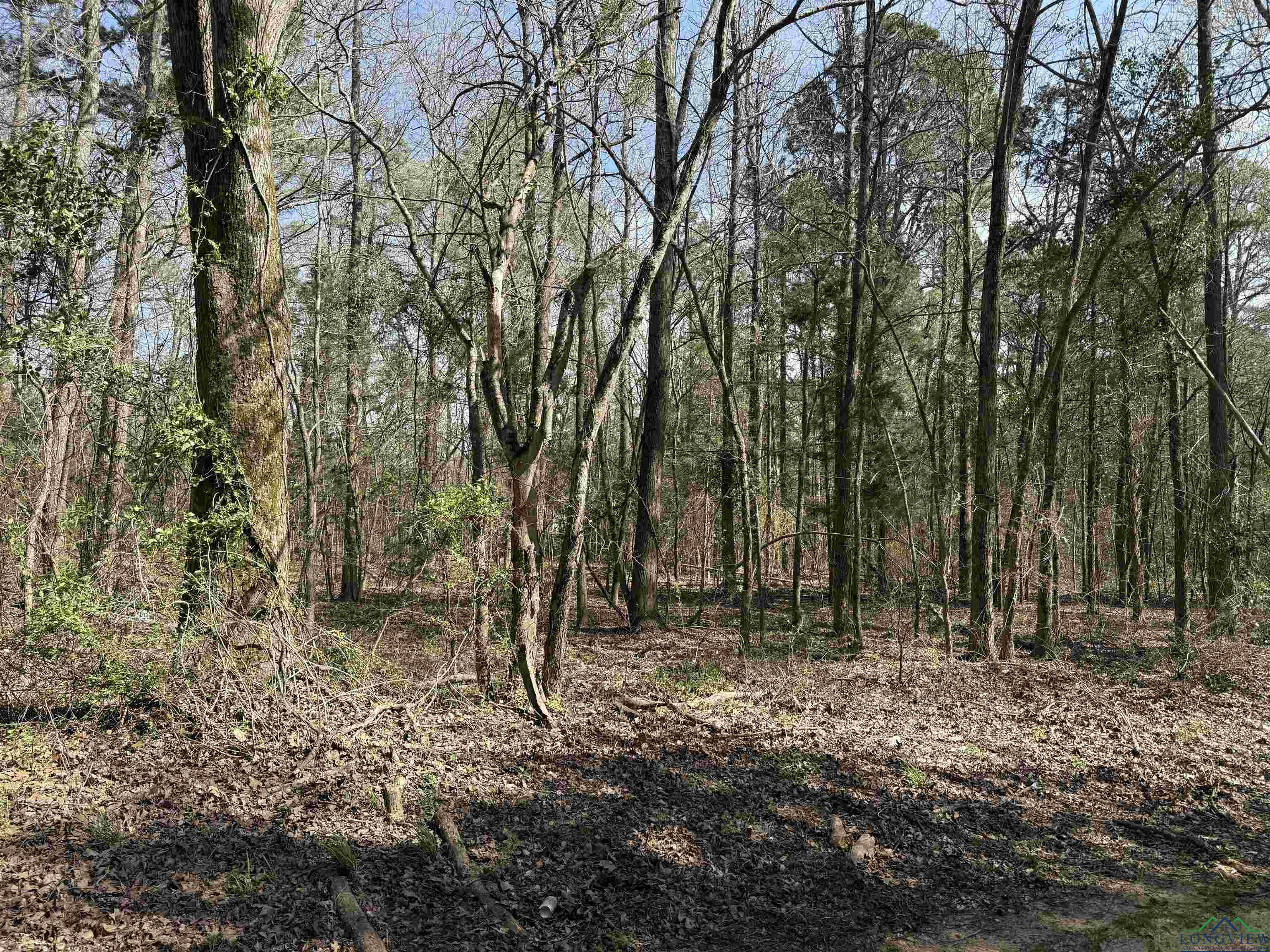 TBD Woodchuck Rd, Pittsburg, Texas image 2