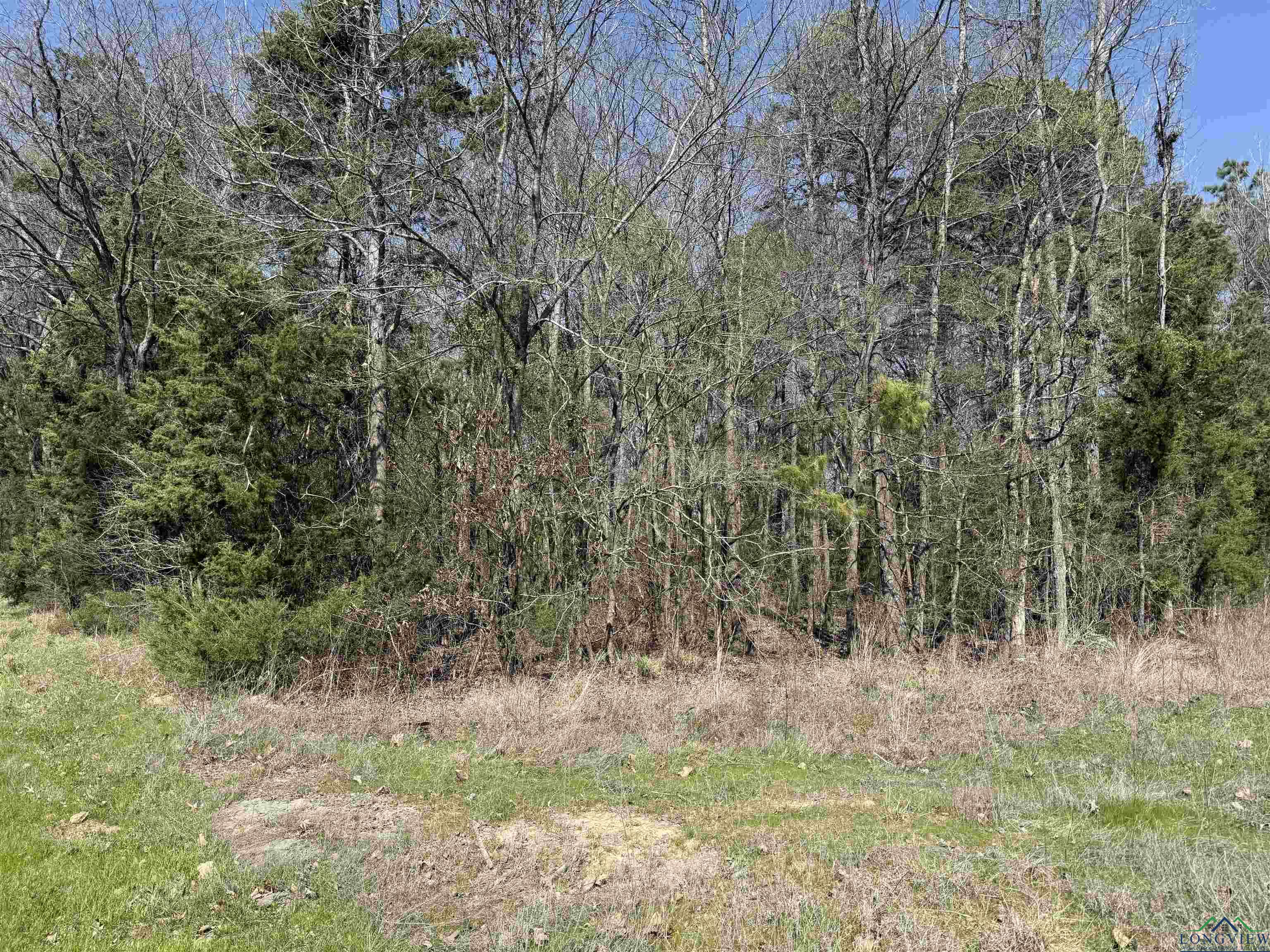 TBD Woodchuck Rd, Pittsburg, Texas image 3