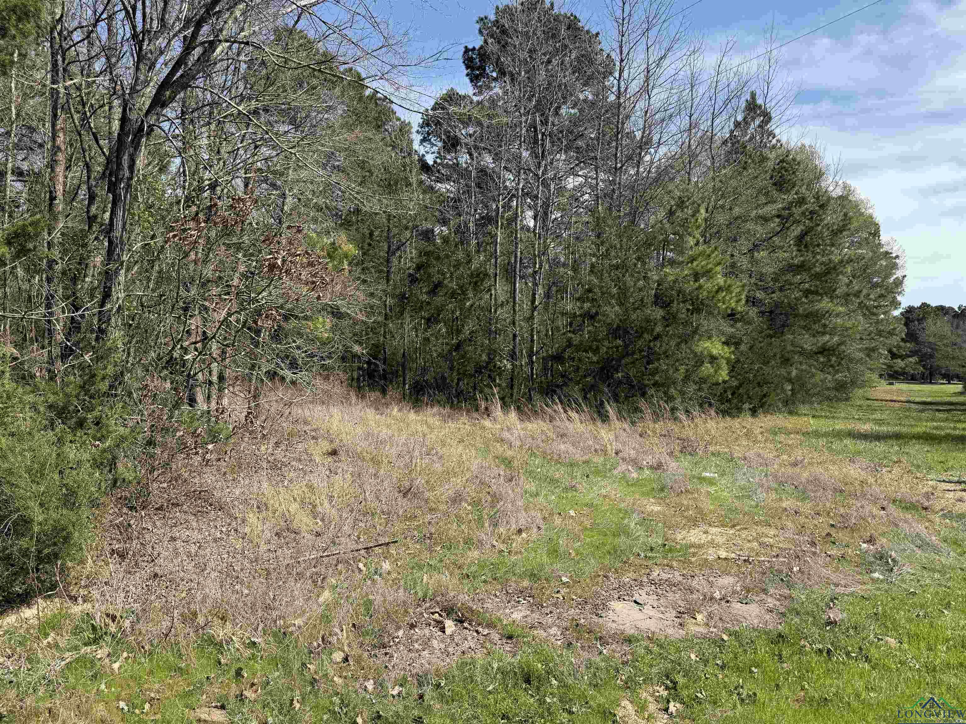 TBD Woodchuck Rd, Pittsburg, Texas image 5
