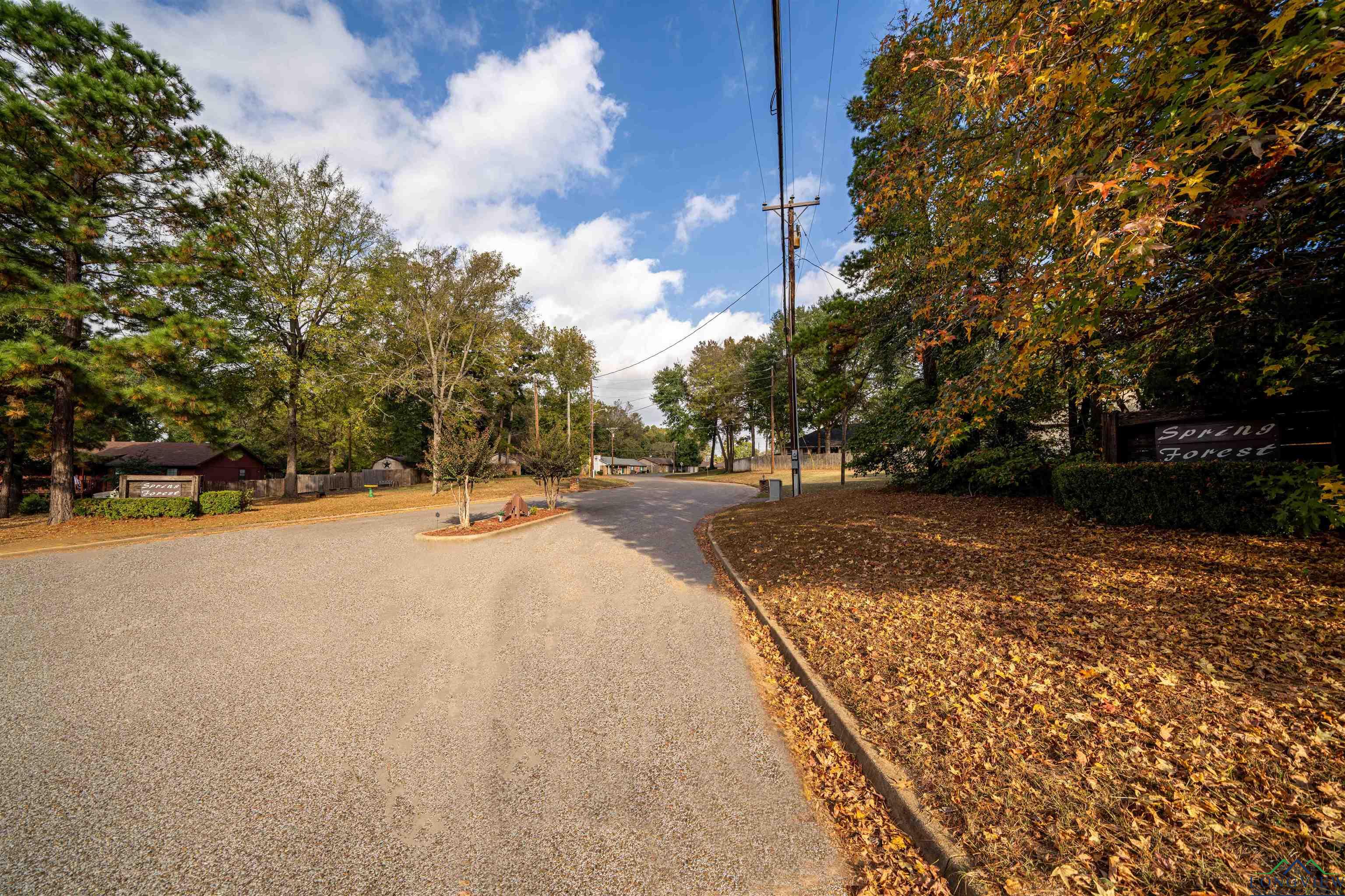 207 Syble Ln, Longview, Texas image 39