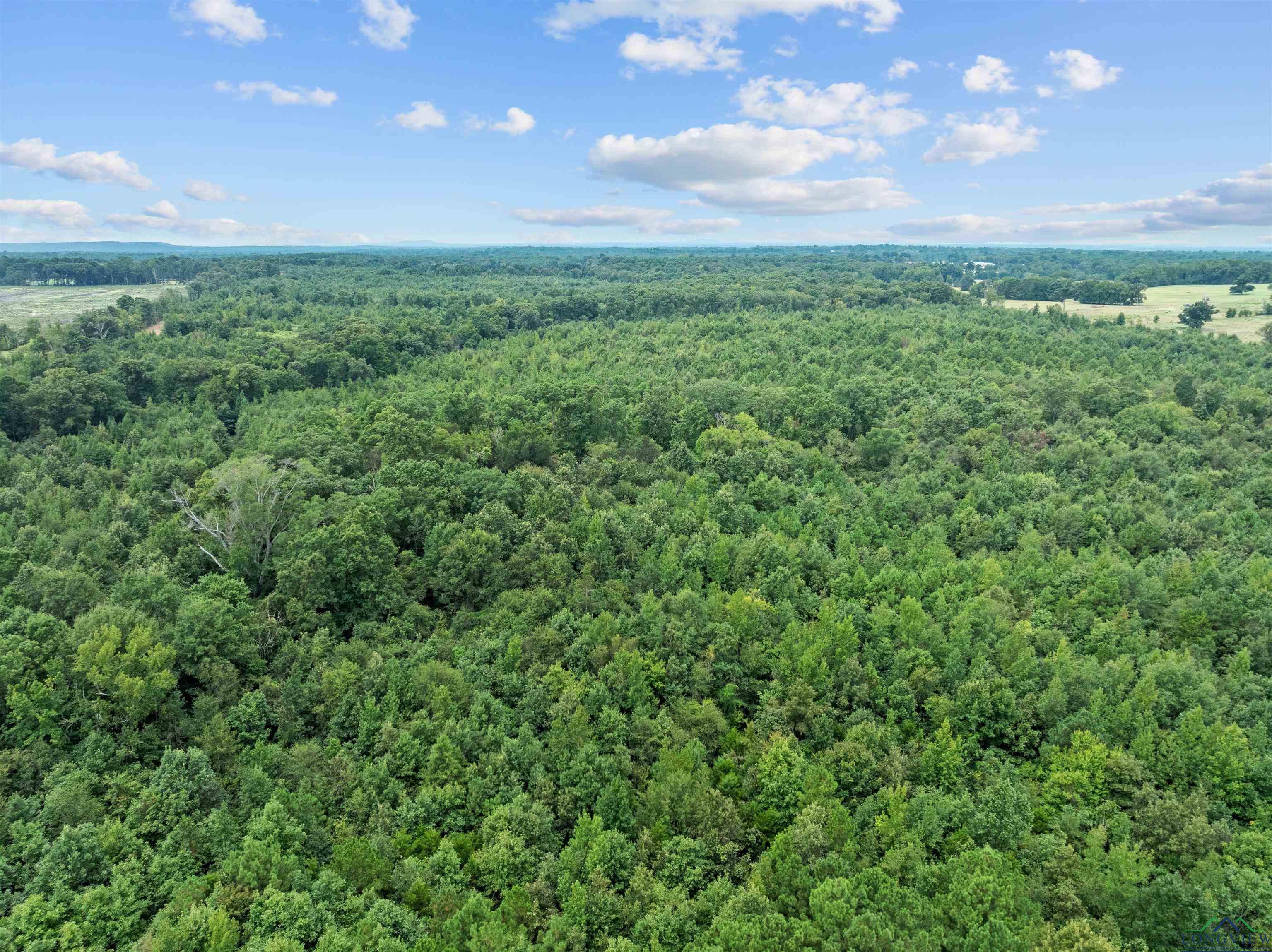 TBD Mistletoe Road Lot 16, Gilmer, Texas image 9