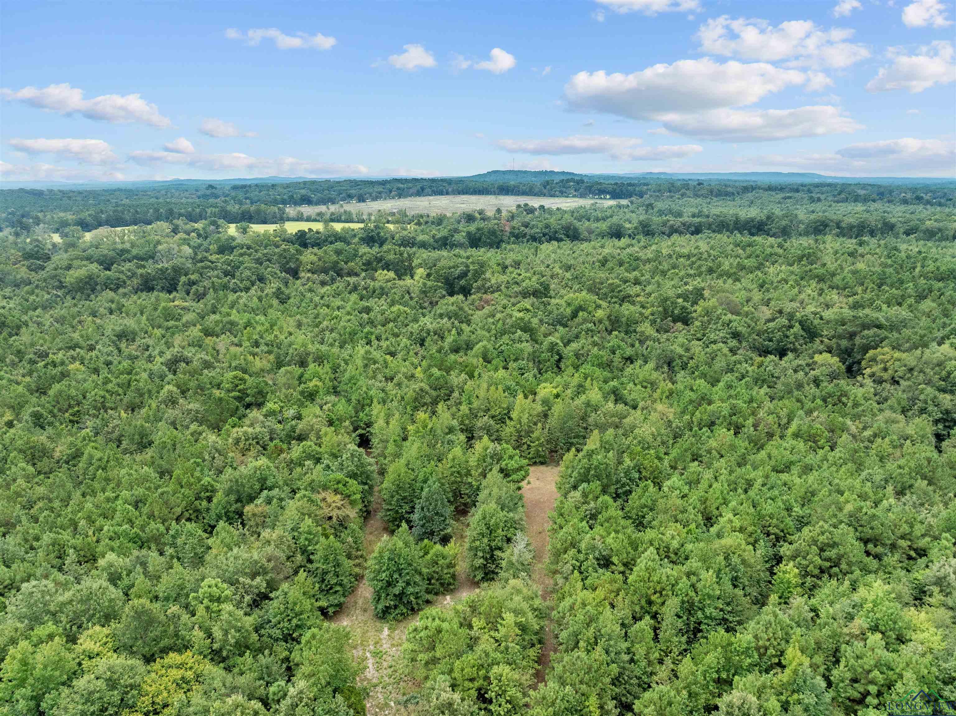 TBD Mistletoe Road Lot 16, Gilmer, Texas image 13