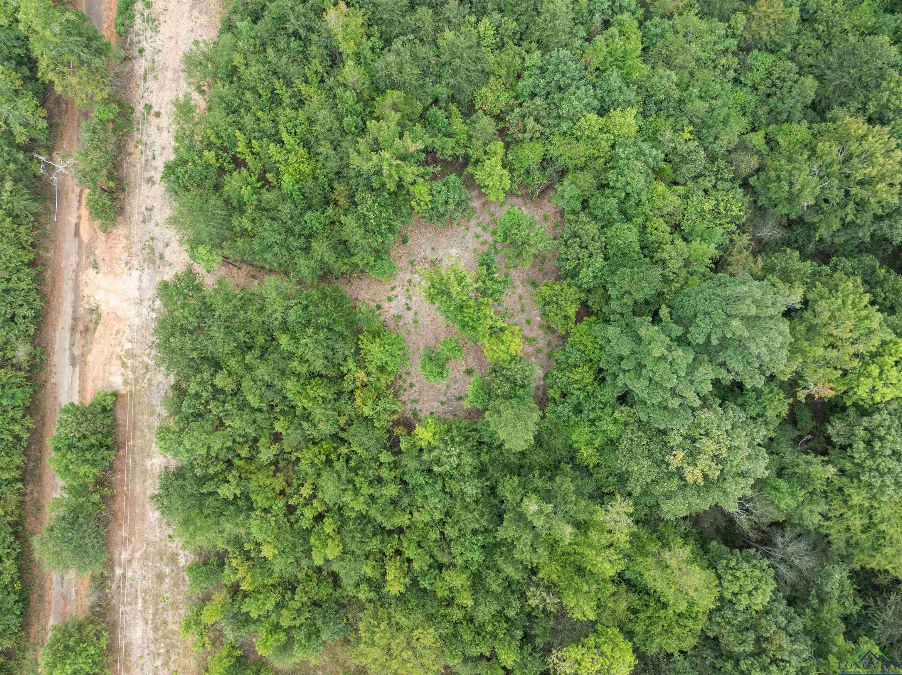 TBD Mistletoe Road Lot 16, Gilmer, Texas image 5