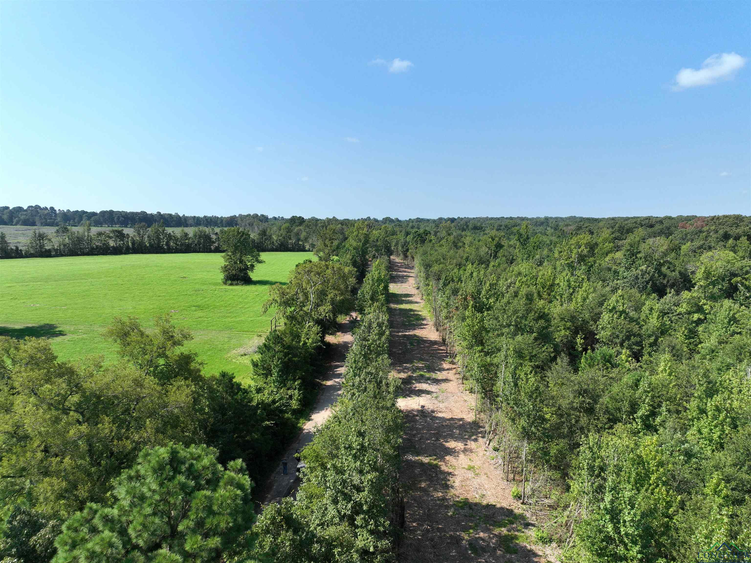 TBD Mistletoe Road Lot 16, Gilmer, Texas image 20