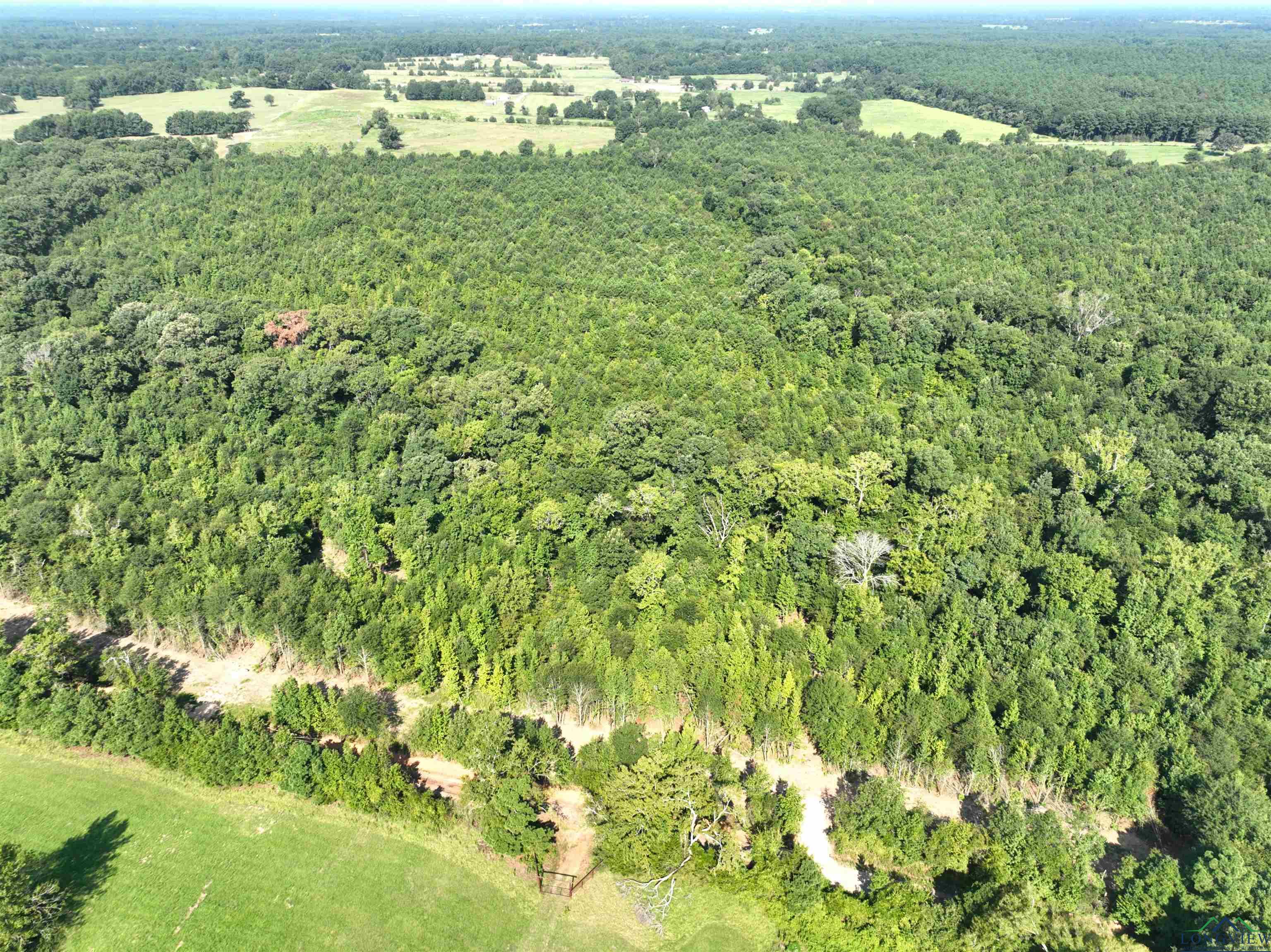 TBD Mistletoe Road Lot 16, Gilmer, Texas image 15