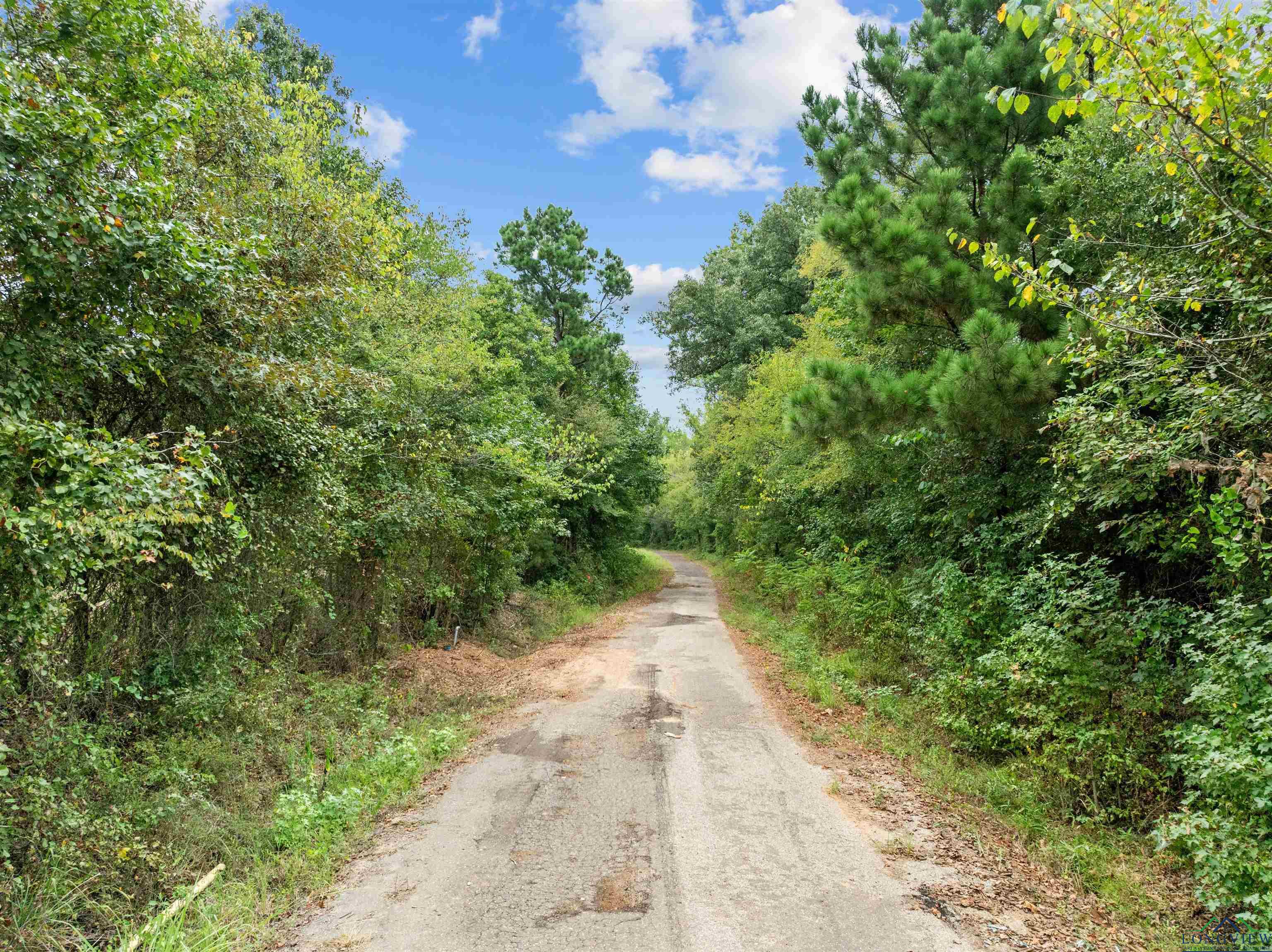 TBD Mistletoe Road Lot 16, Gilmer, Texas image 8