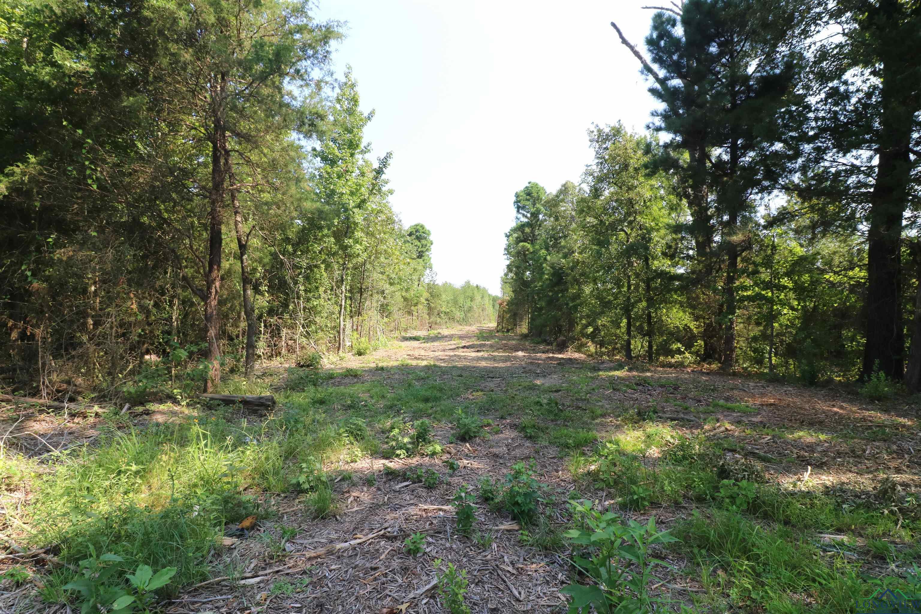 TBD Mistletoe Road Lot 16, Gilmer, Texas image 24