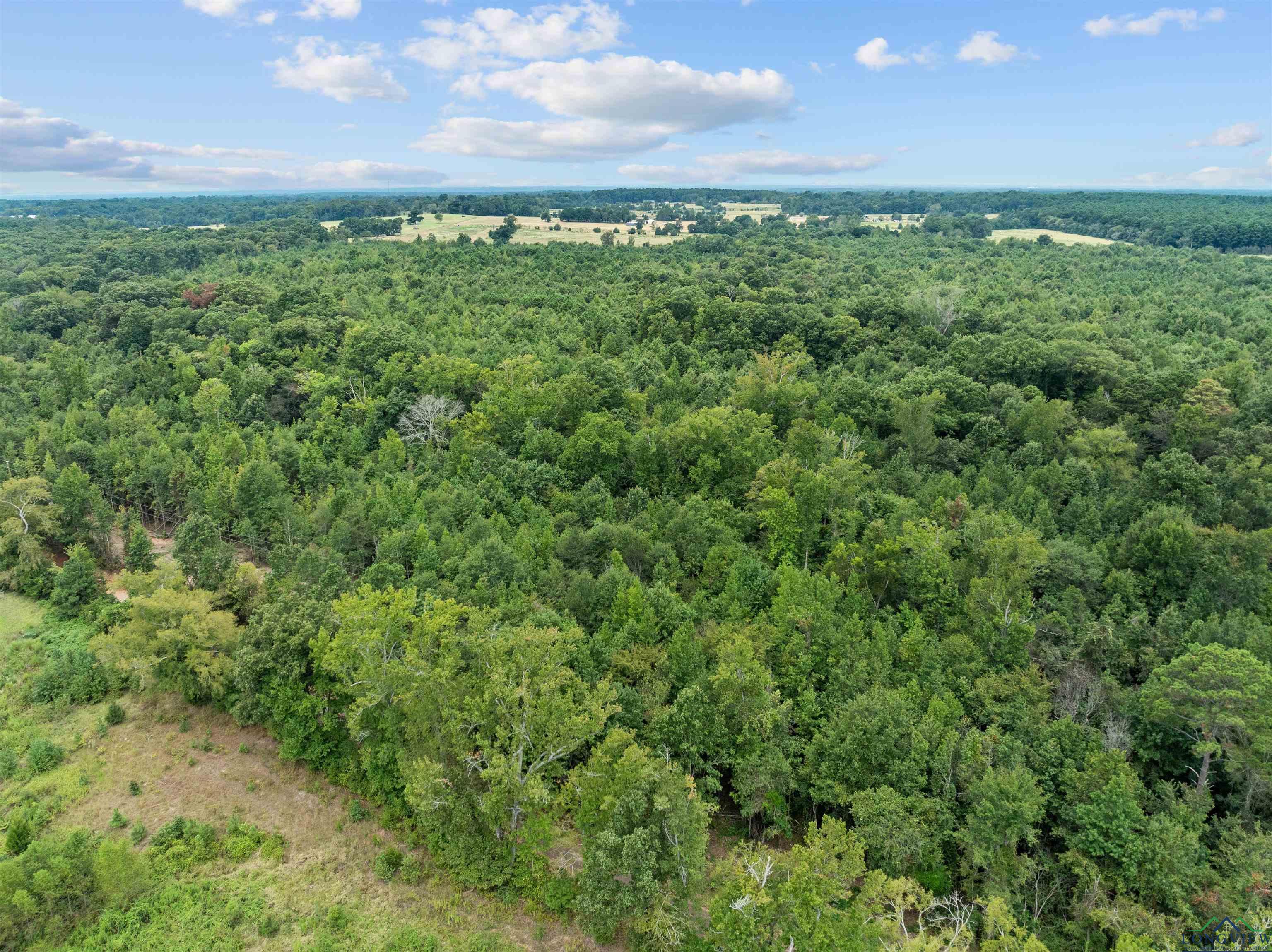 TBD Mistletoe Road Lot 16, Gilmer, Texas image 14