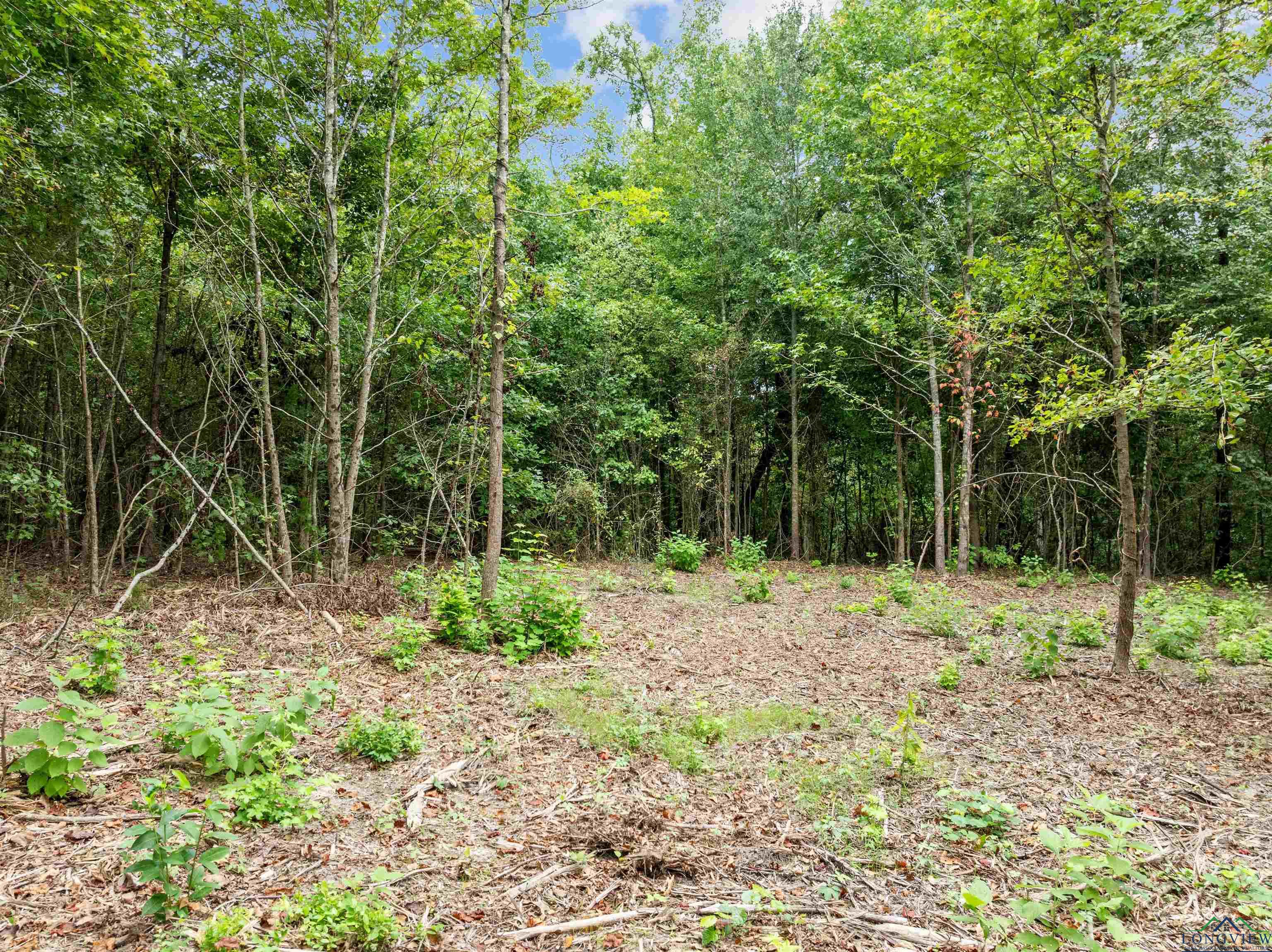 TBD Mistletoe Road Lot 16, Gilmer, Texas image 3