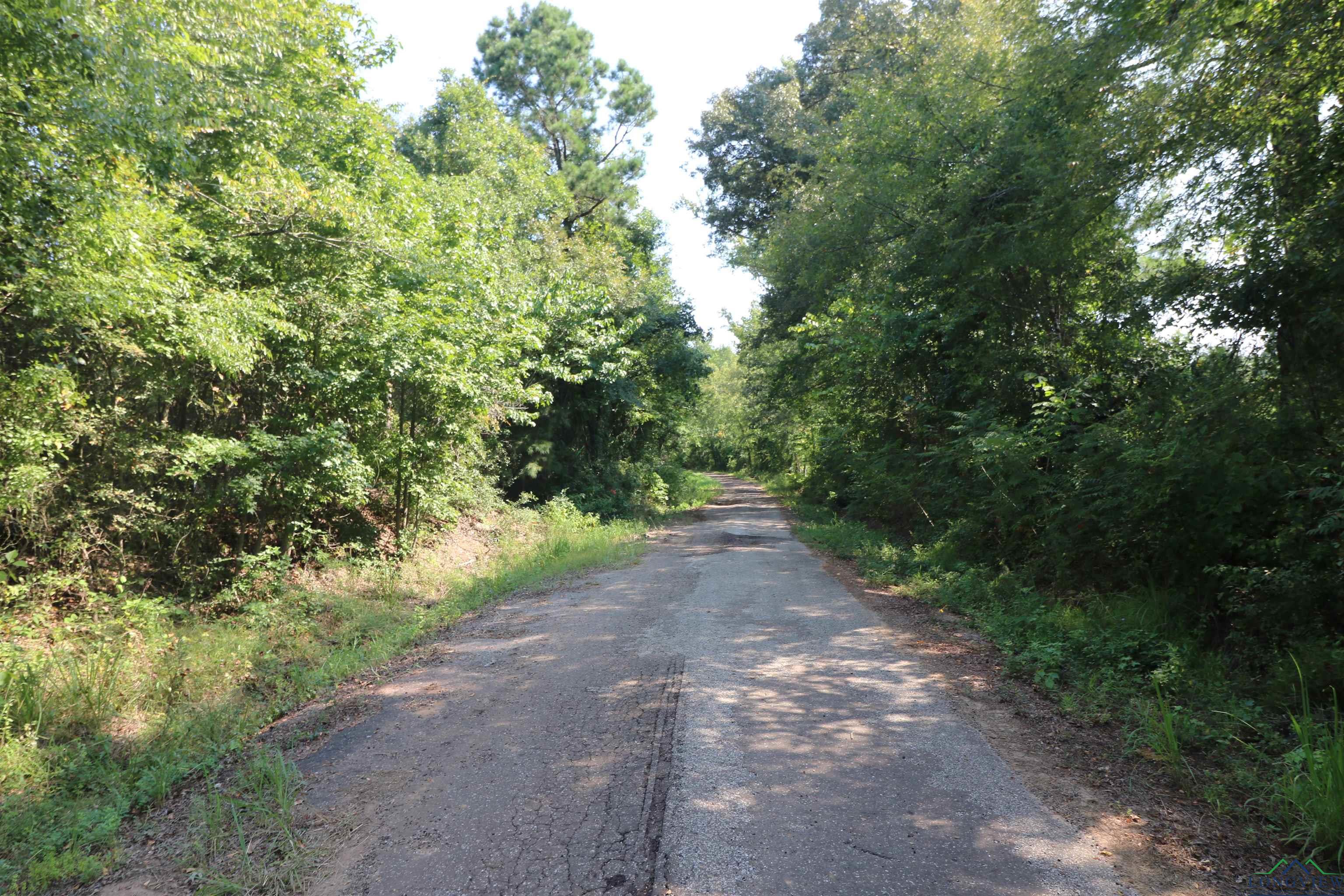 TBD Mistletoe Road Lot 16, Gilmer, Texas image 21