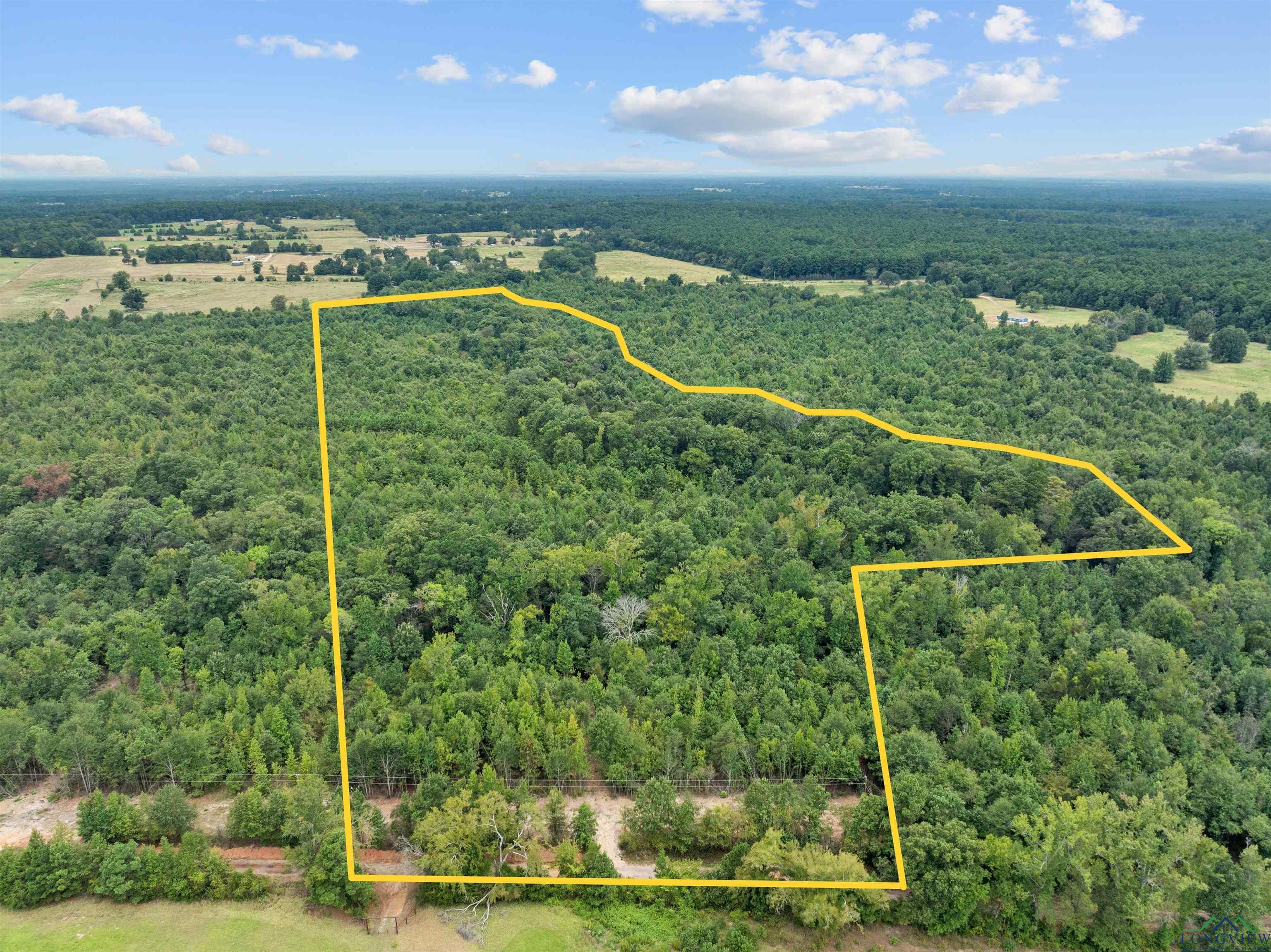 TBD Mistletoe Road Lot 16, Gilmer, Texas image 1