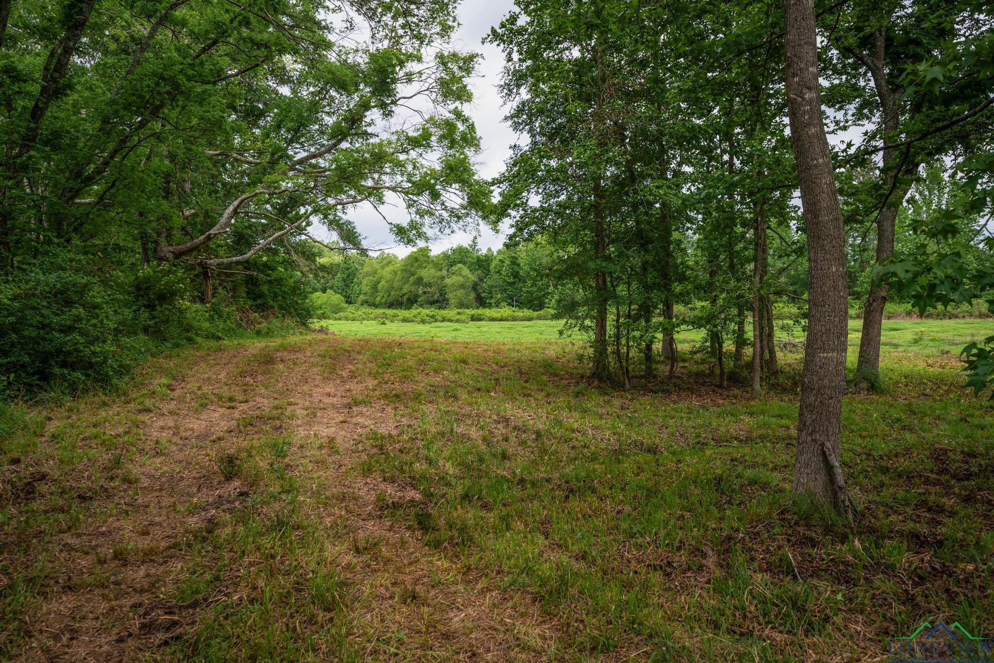 1198 Juniper Rd, Big Sandy, Texas image 11