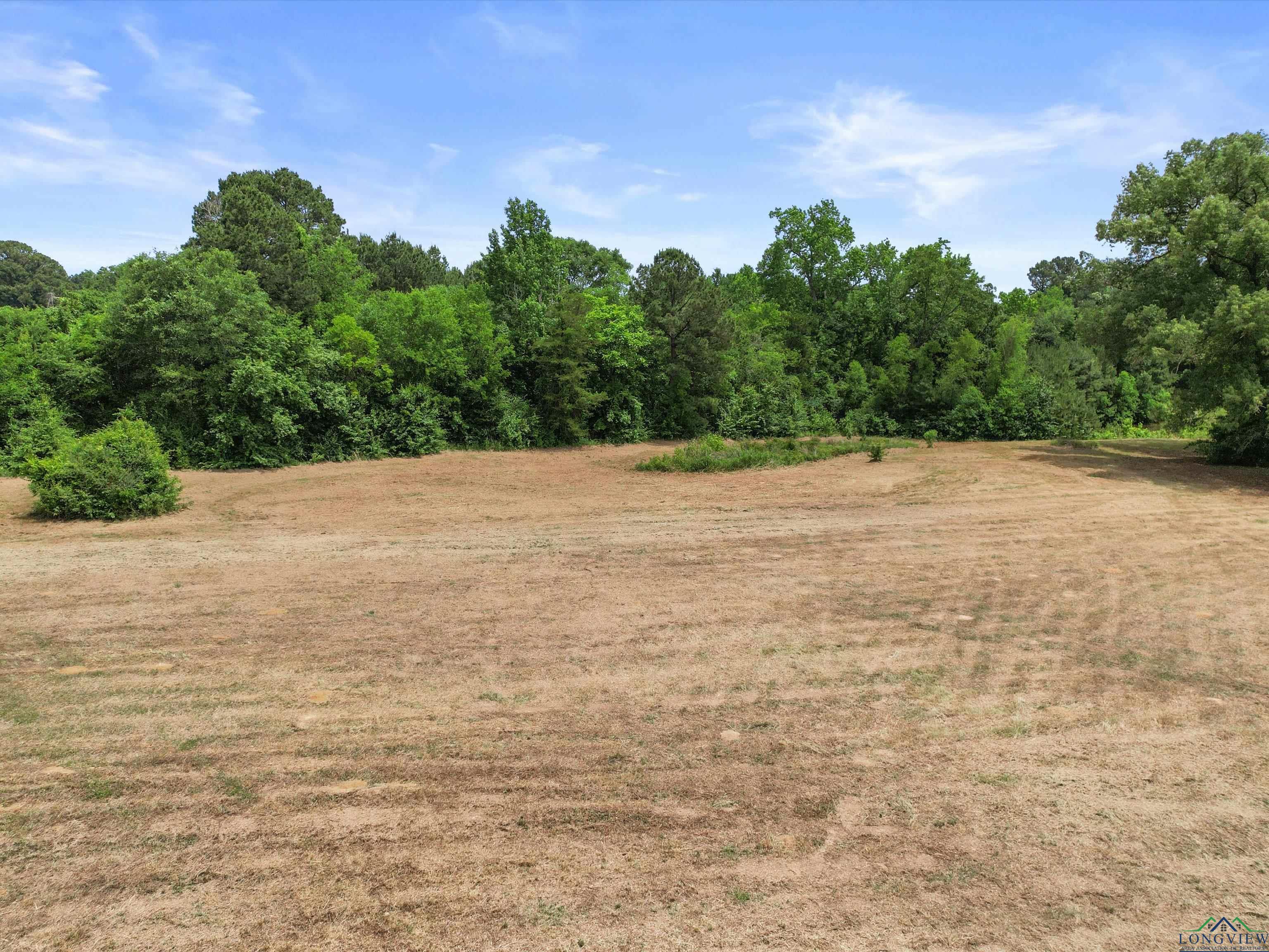 3506 Dudley Rd, Kilgore, Texas image 25