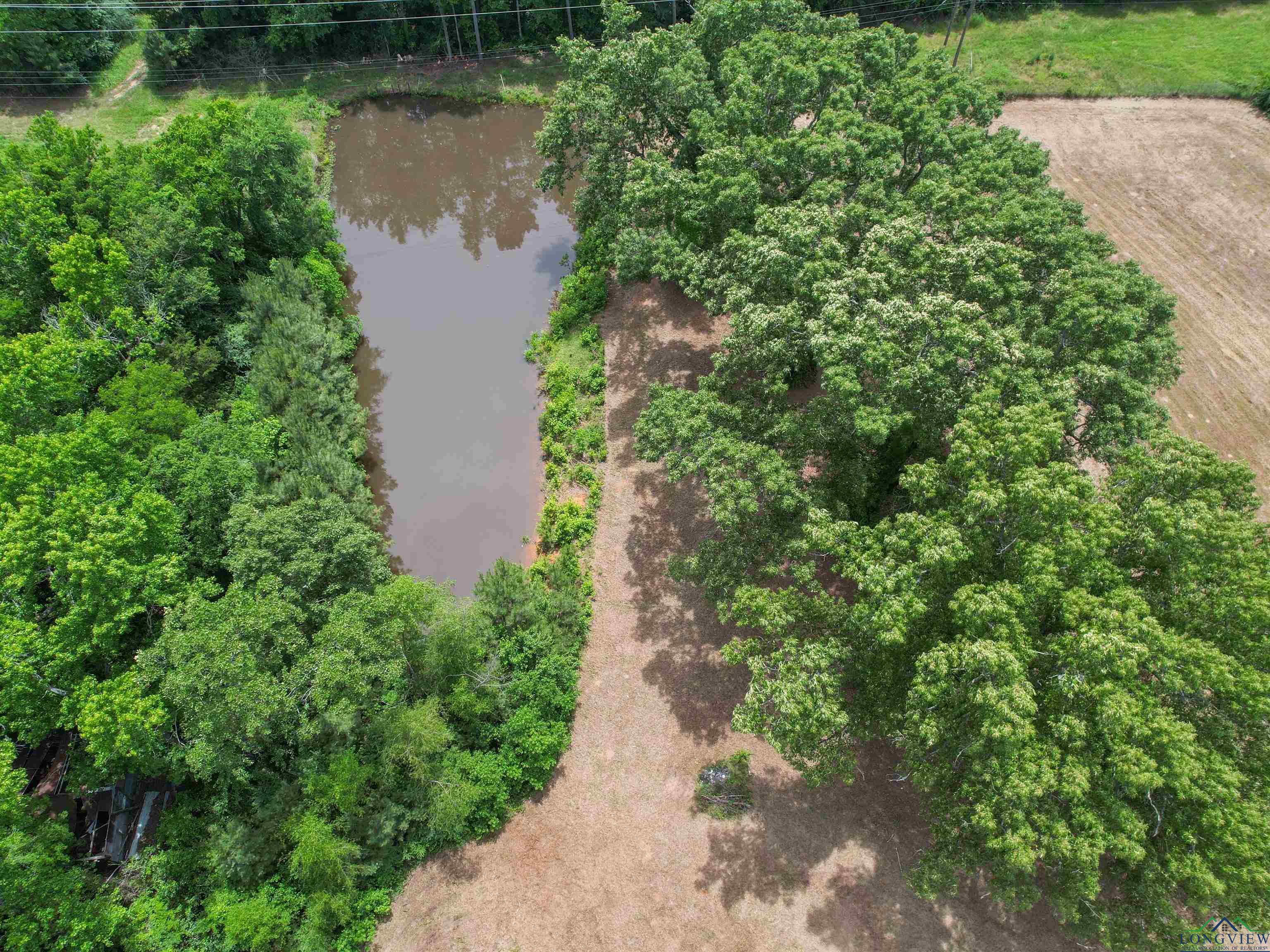 3506 Dudley Rd, Kilgore, Texas image 5
