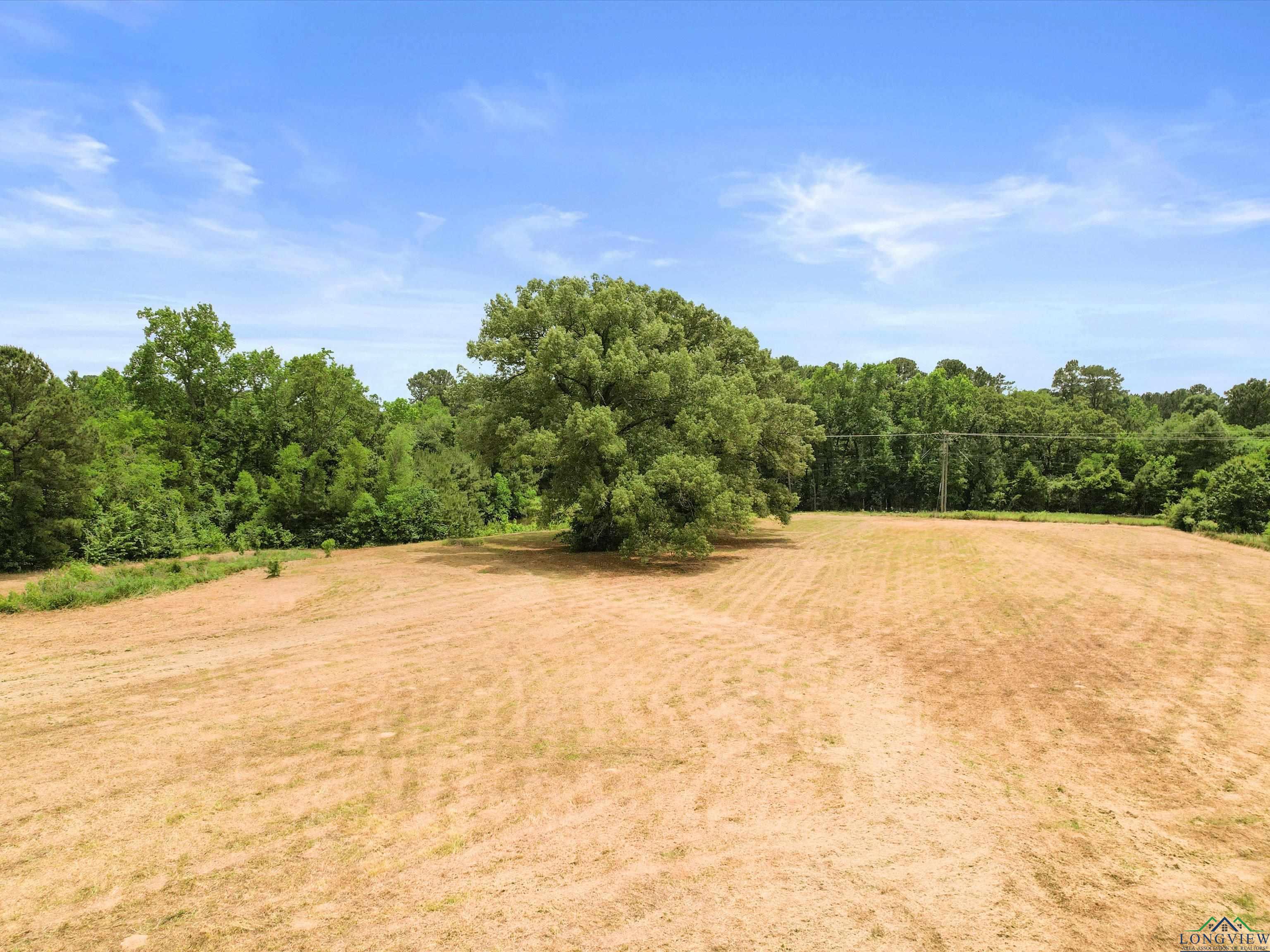 3506 Dudley Rd, Kilgore, Texas image 26