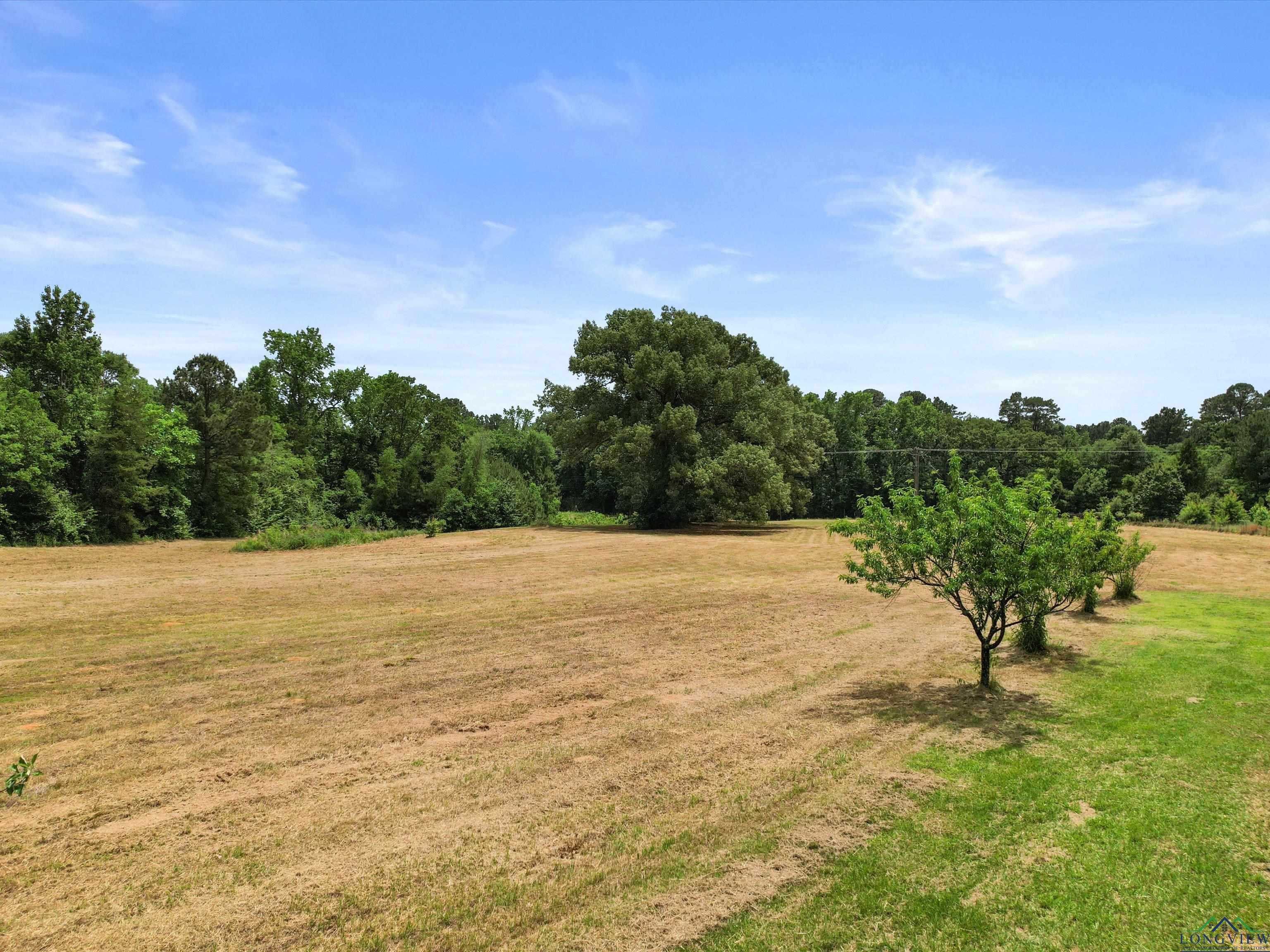3506 Dudley Rd, Kilgore, Texas image 24