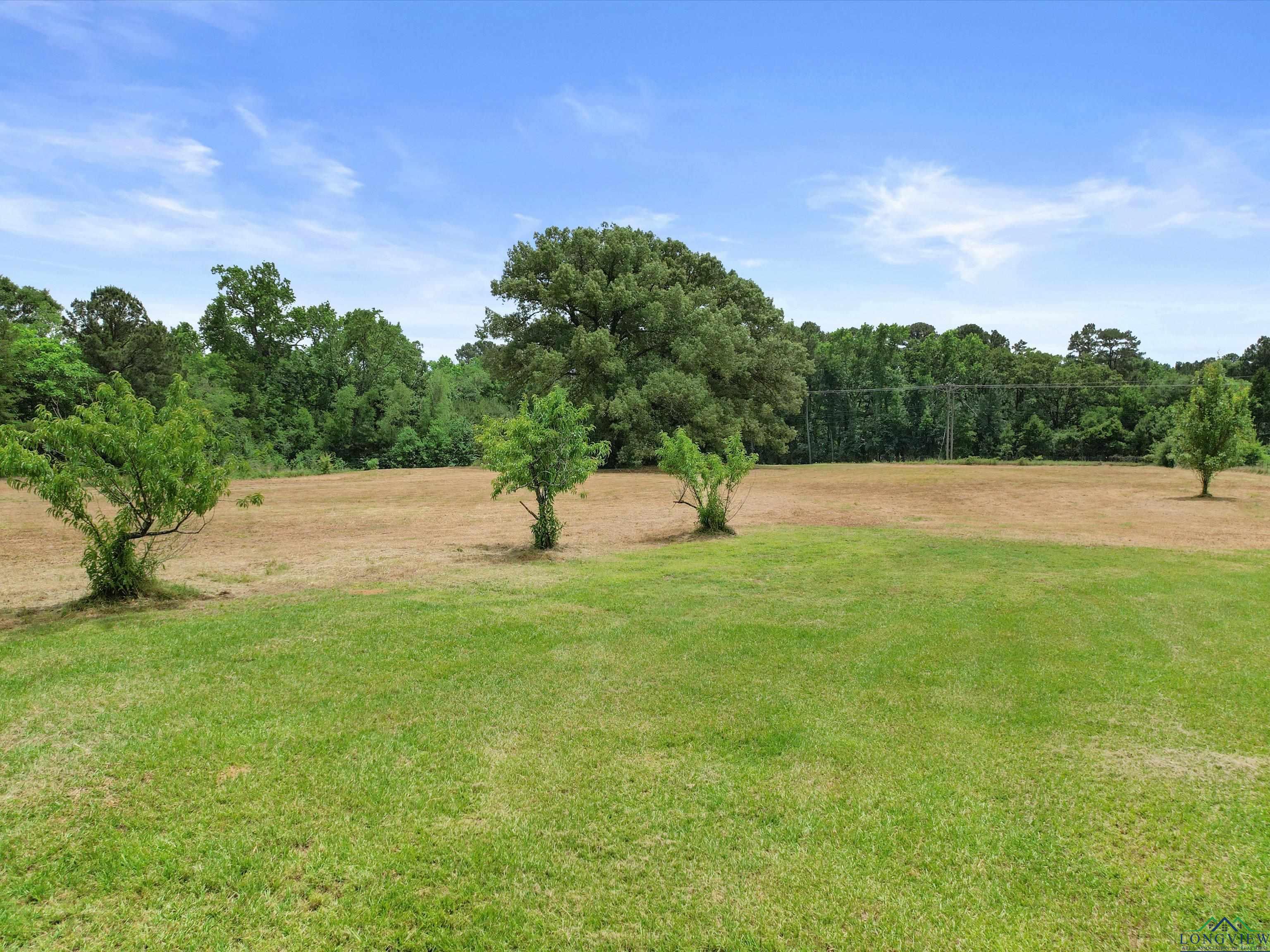 3506 Dudley Rd, Kilgore, Texas image 27