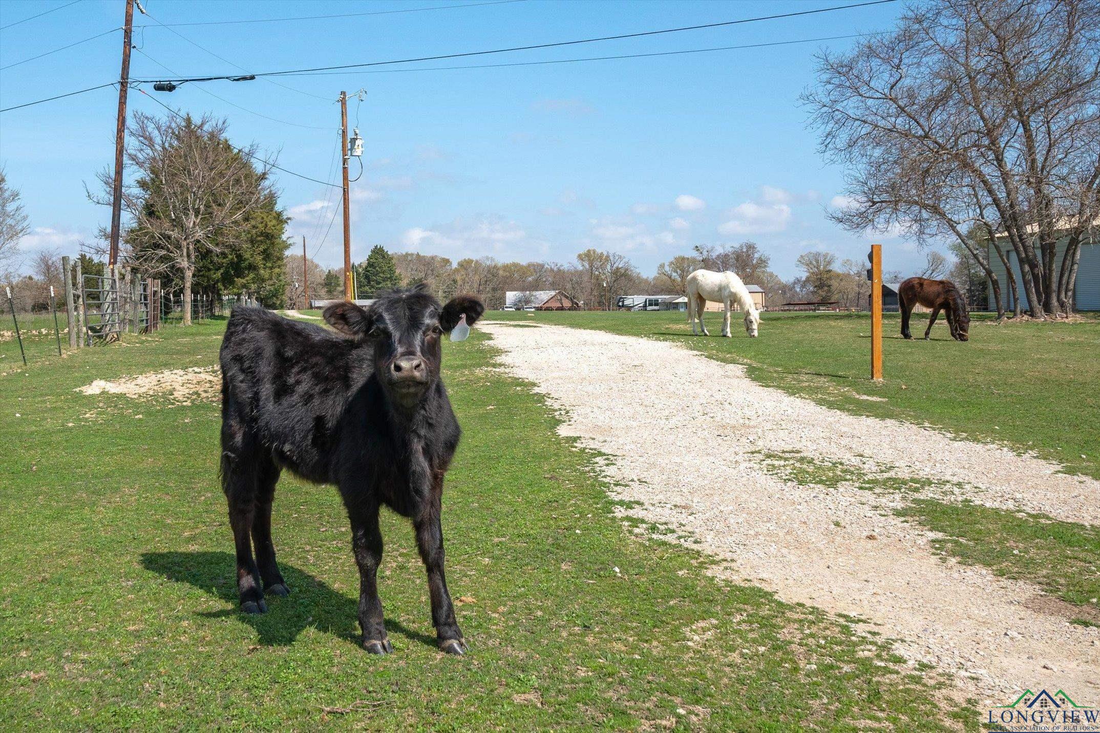 15250 Fm 858, Athens, Texas image 7