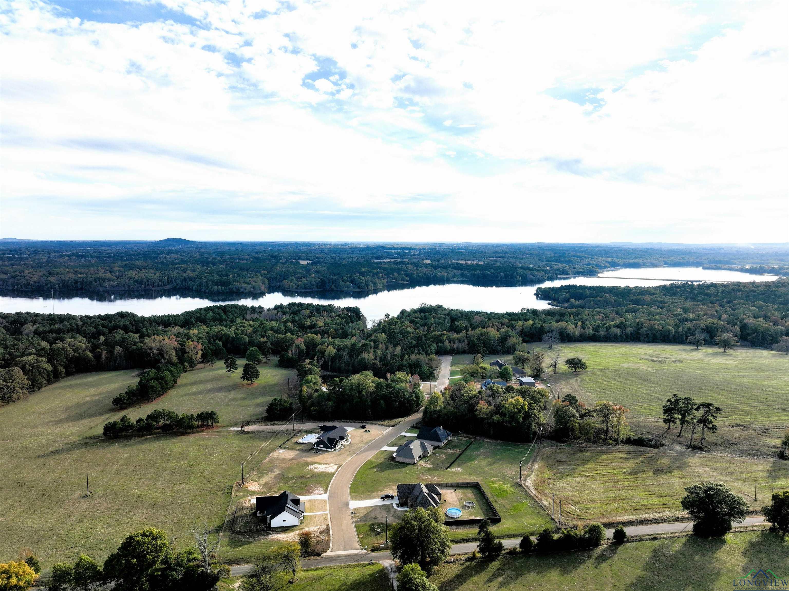 TBD Armadillo Road, Gilmer, Texas image 3