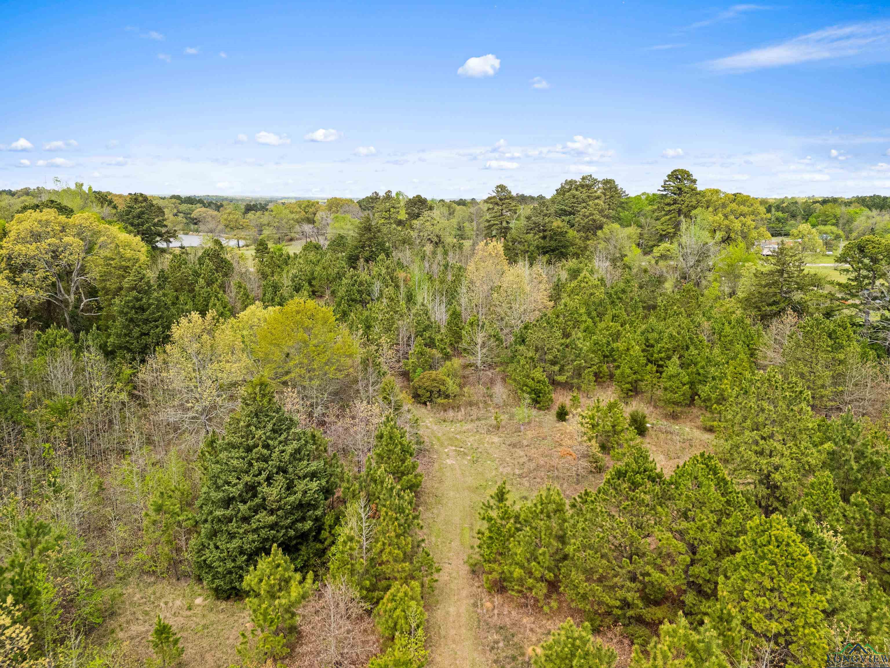 TBD Goforth Rd, Kilgore, Texas image 15