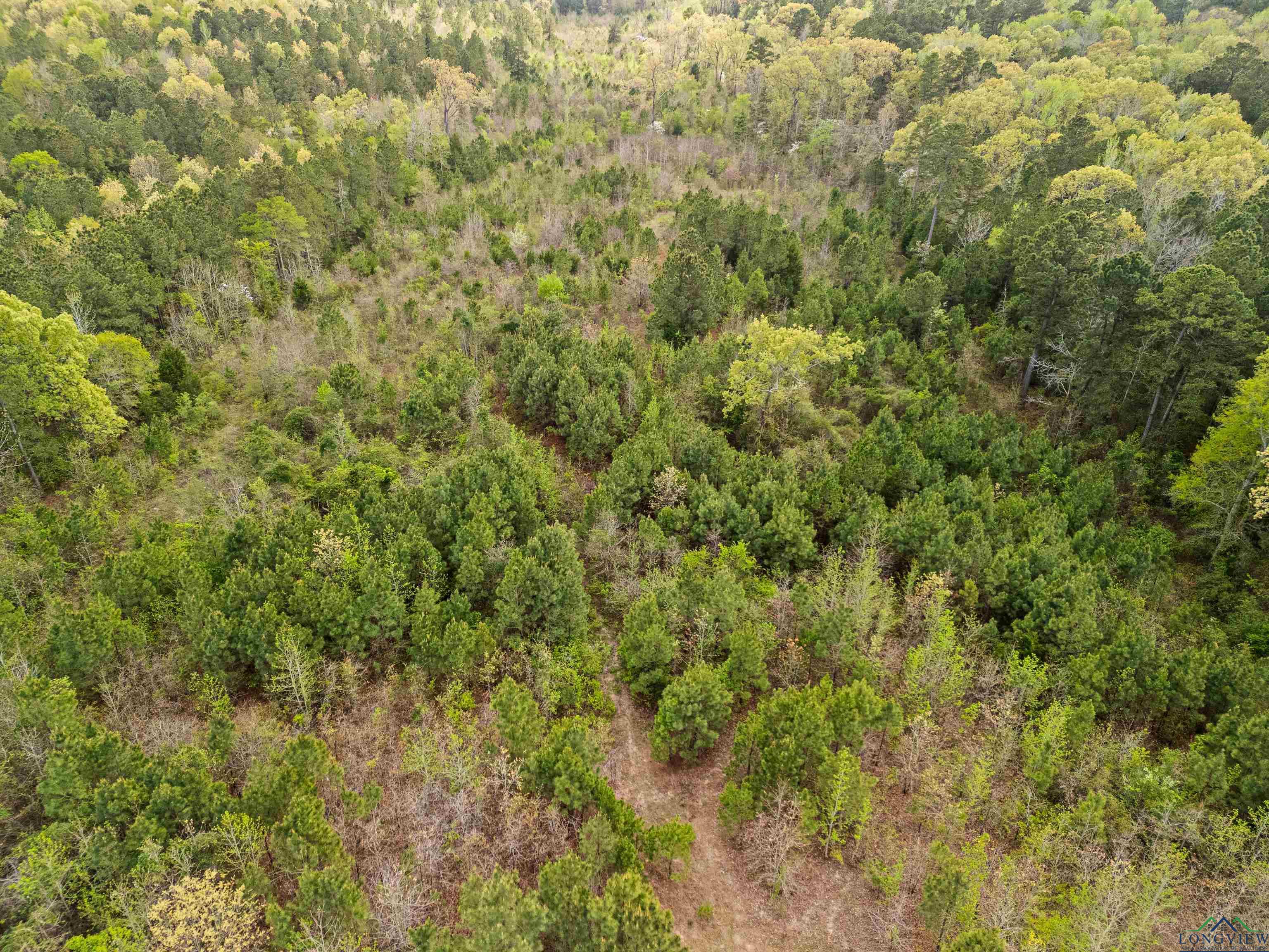 TBD Goforth Rd, Kilgore, Texas image 11