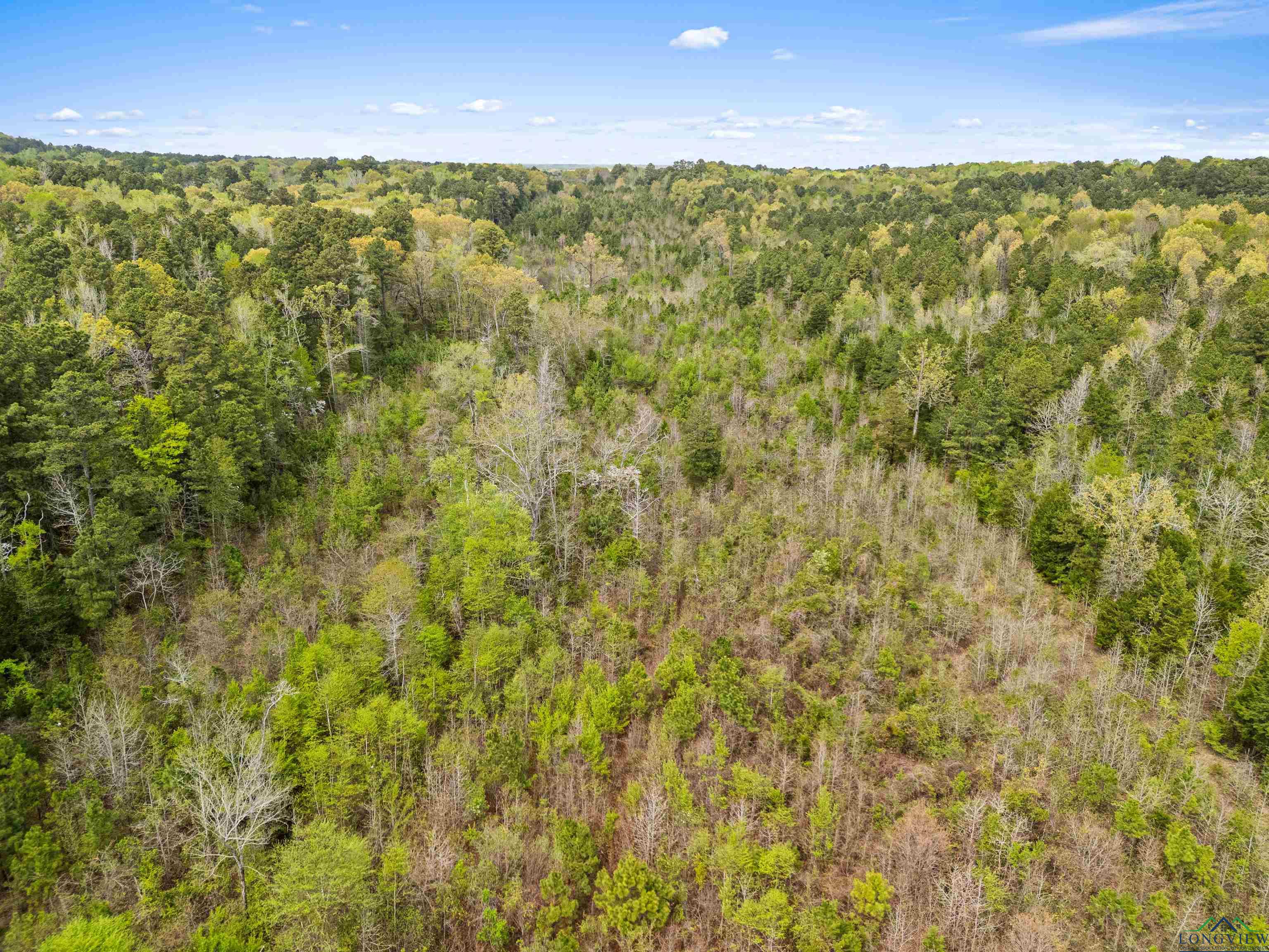 TBD Goforth Rd, Kilgore, Texas image 10