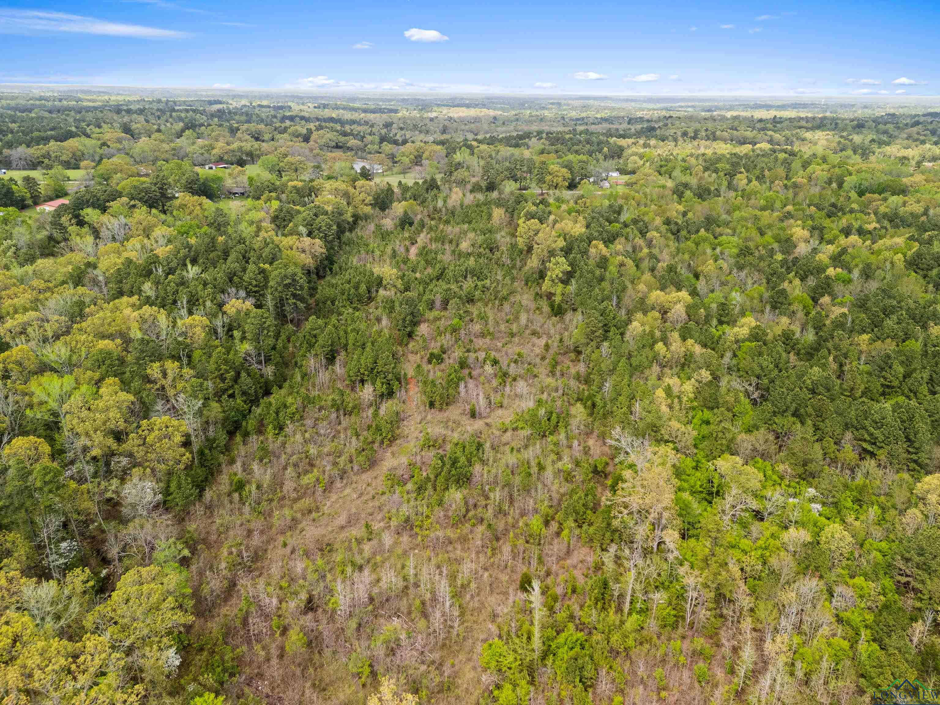 TBD Goforth Rd, Kilgore, Texas image 12