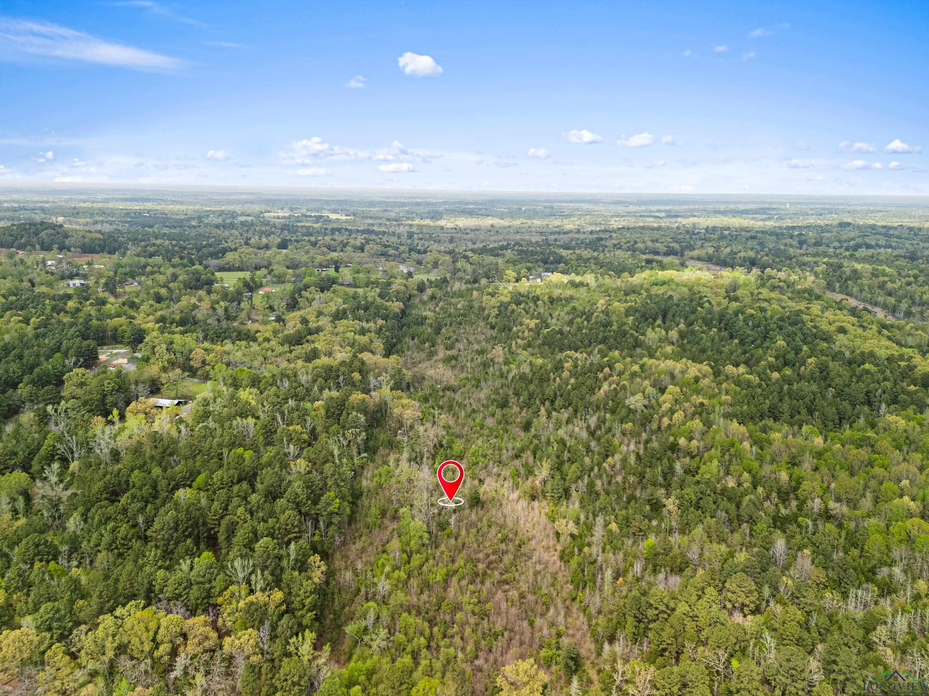 TBD Goforth Rd, Kilgore, Texas image 7