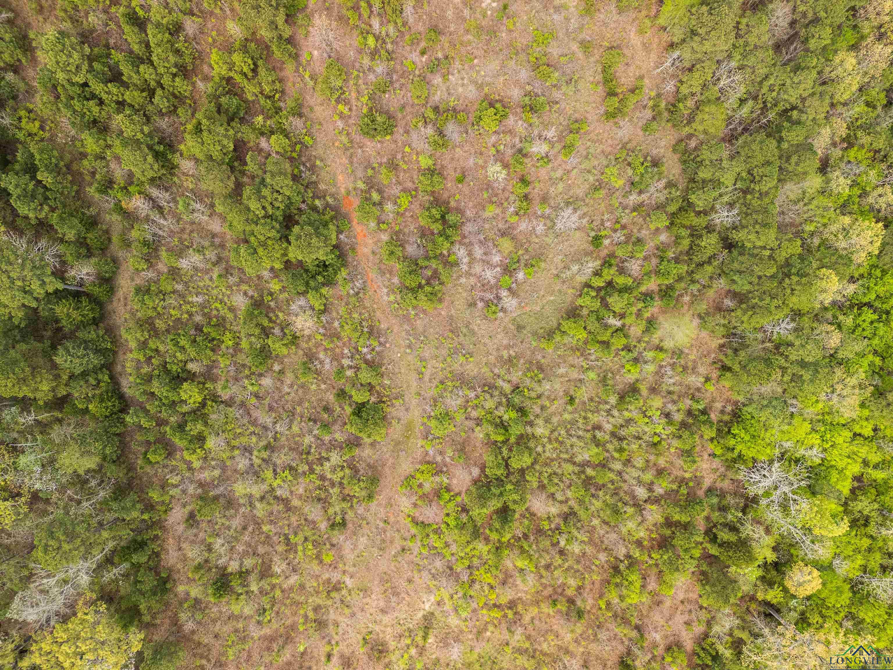 TBD Goforth Rd, Kilgore, Texas image 13