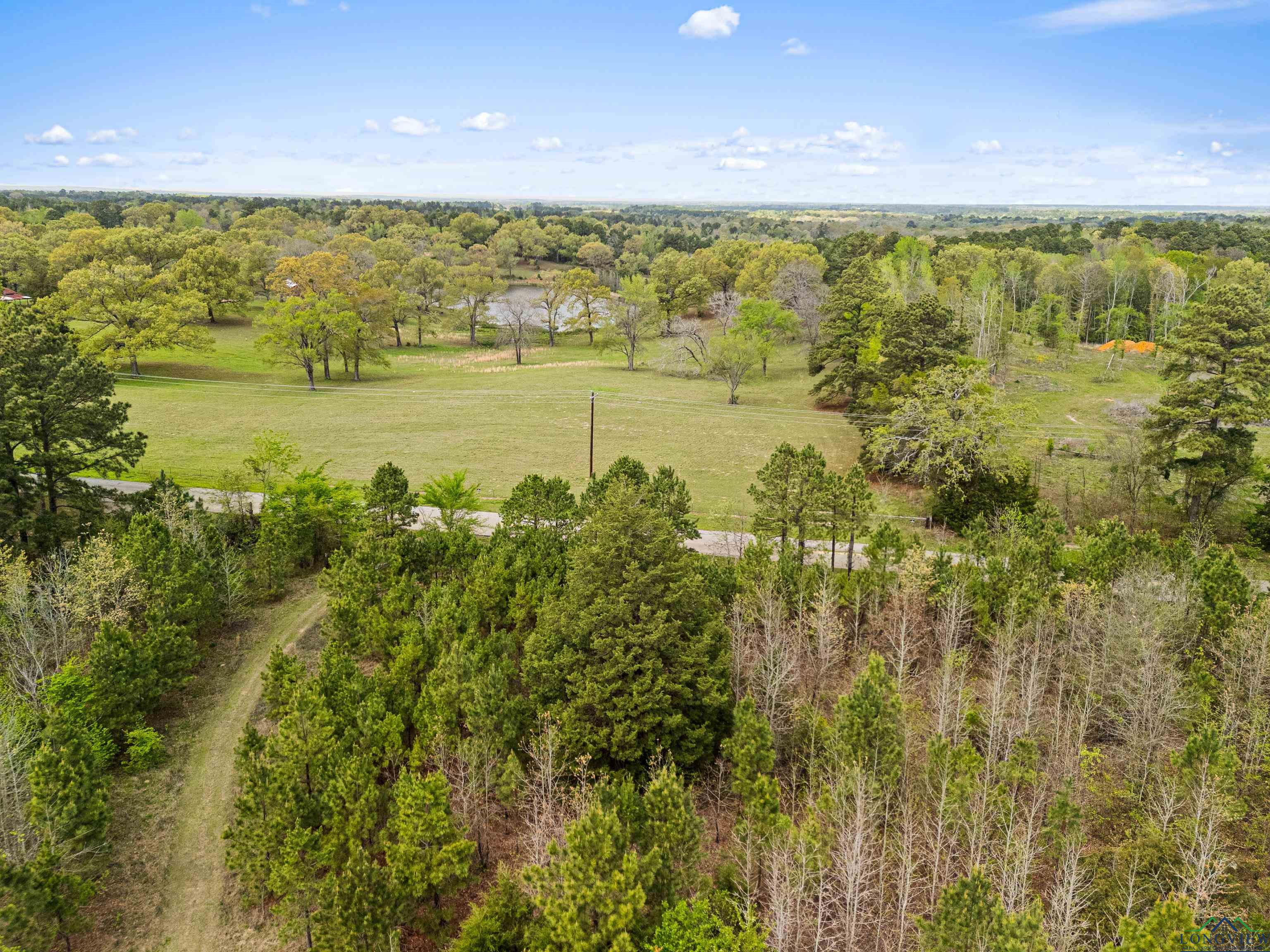 TBD Goforth Rd, Kilgore, Texas image 16