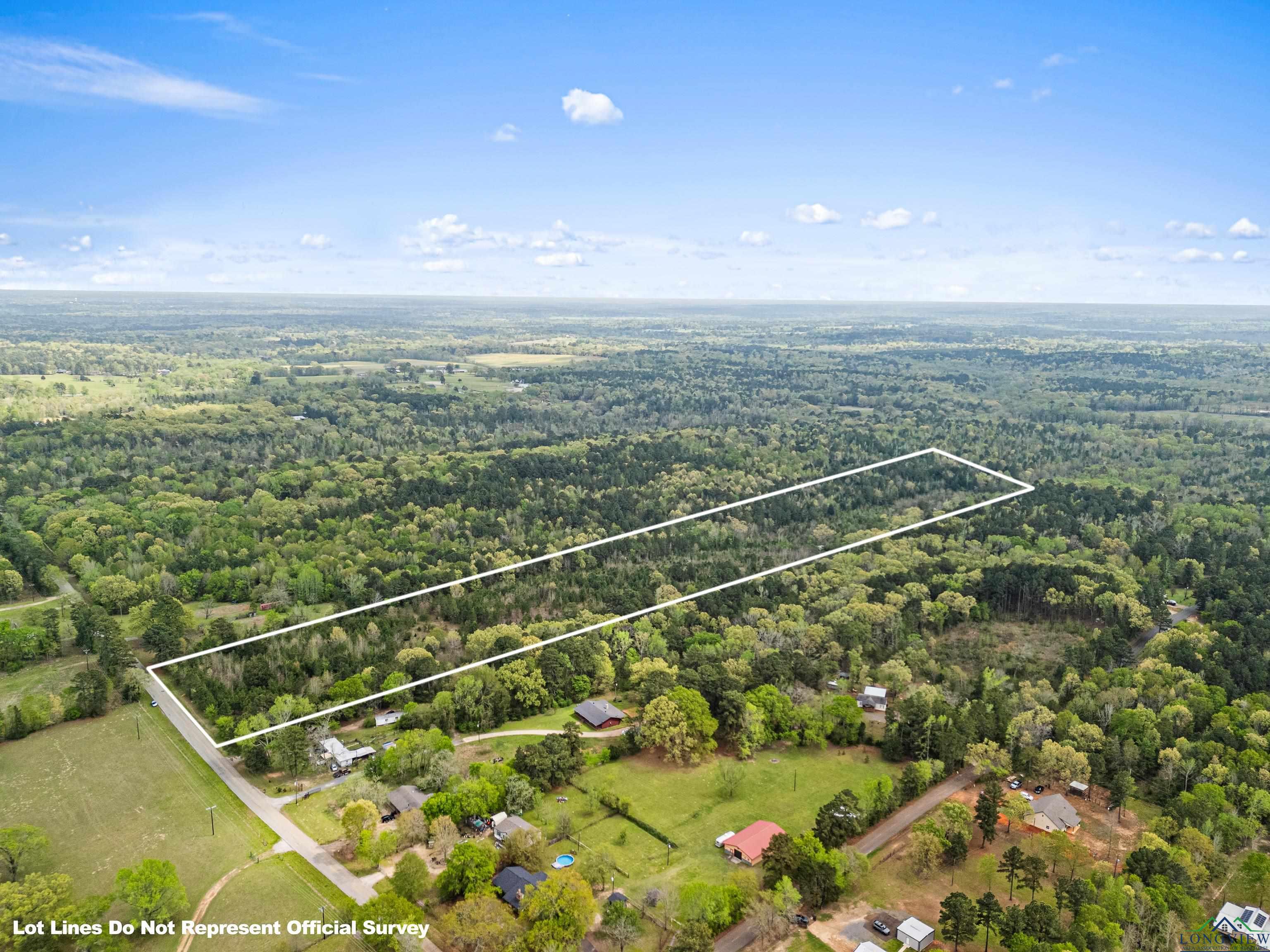 TBD Goforth Rd, Kilgore, Texas image 1