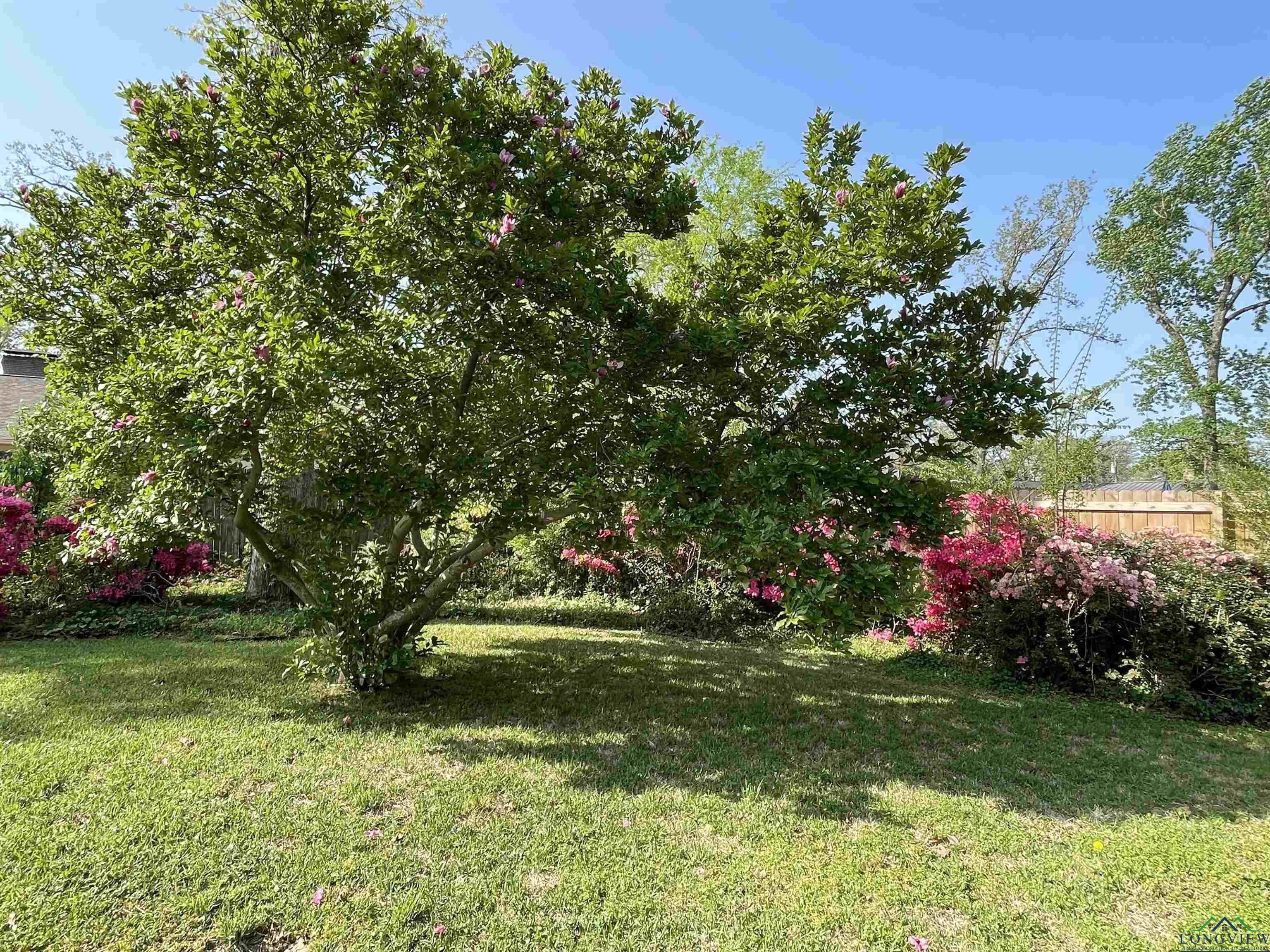 1505 Sequoia Dr, Tyler, Texas image 6