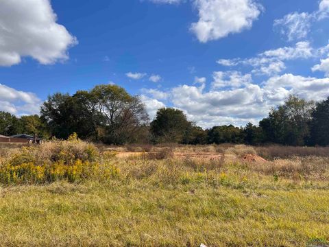 Vacant Land For Sale - LOT 23 OR 4 Cr 2204d<br/> Tatum, TX 75691