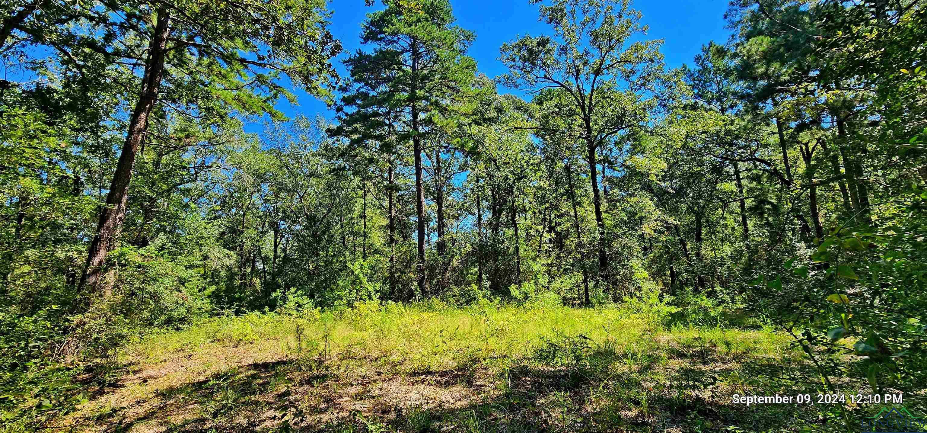 260 Zed Creek Rd, Lufkin, Texas image 1