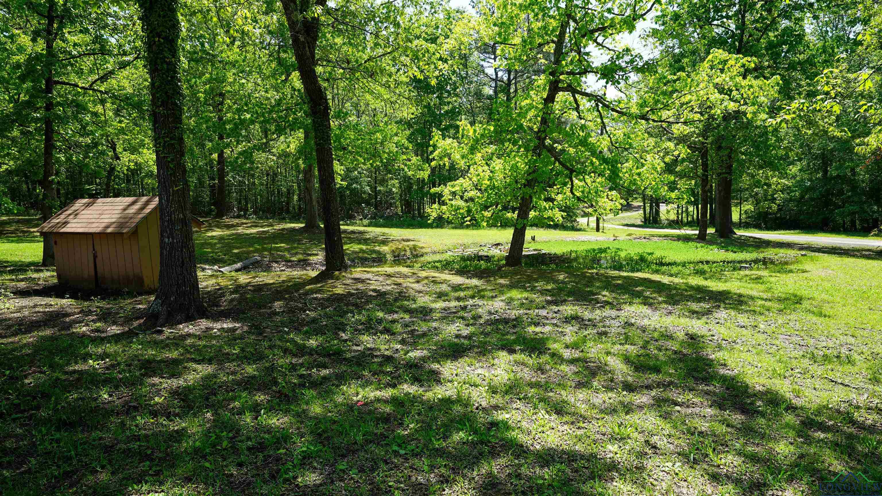 385 Connie Lane, Waskom, Texas image 33