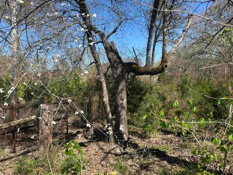 Vacant Land For Sale - 834 County Road 1225<br/> Morris County, Daingerfield, TX 75638