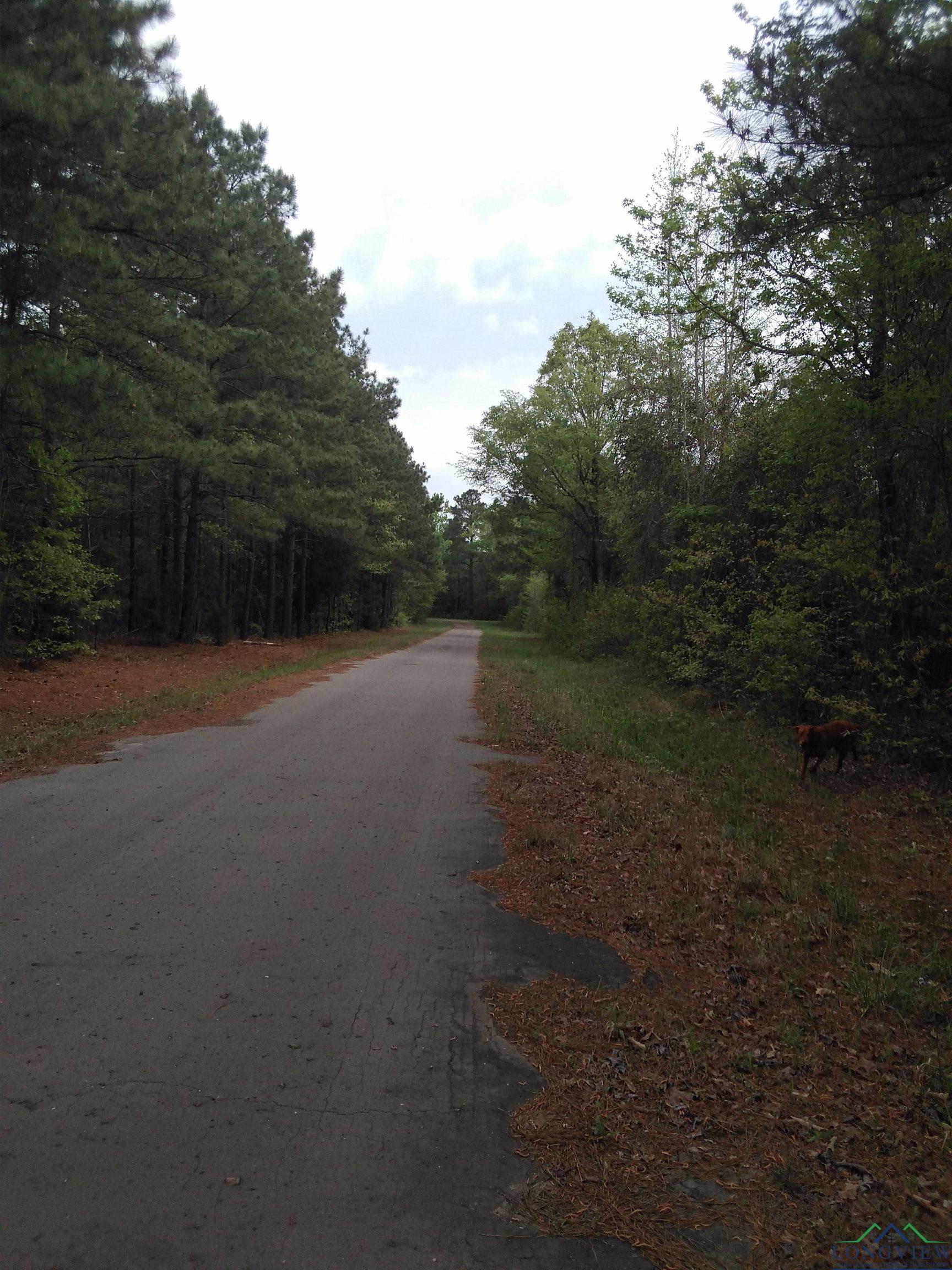 923 County Road 2306, Hughes Springs, Texas image 2