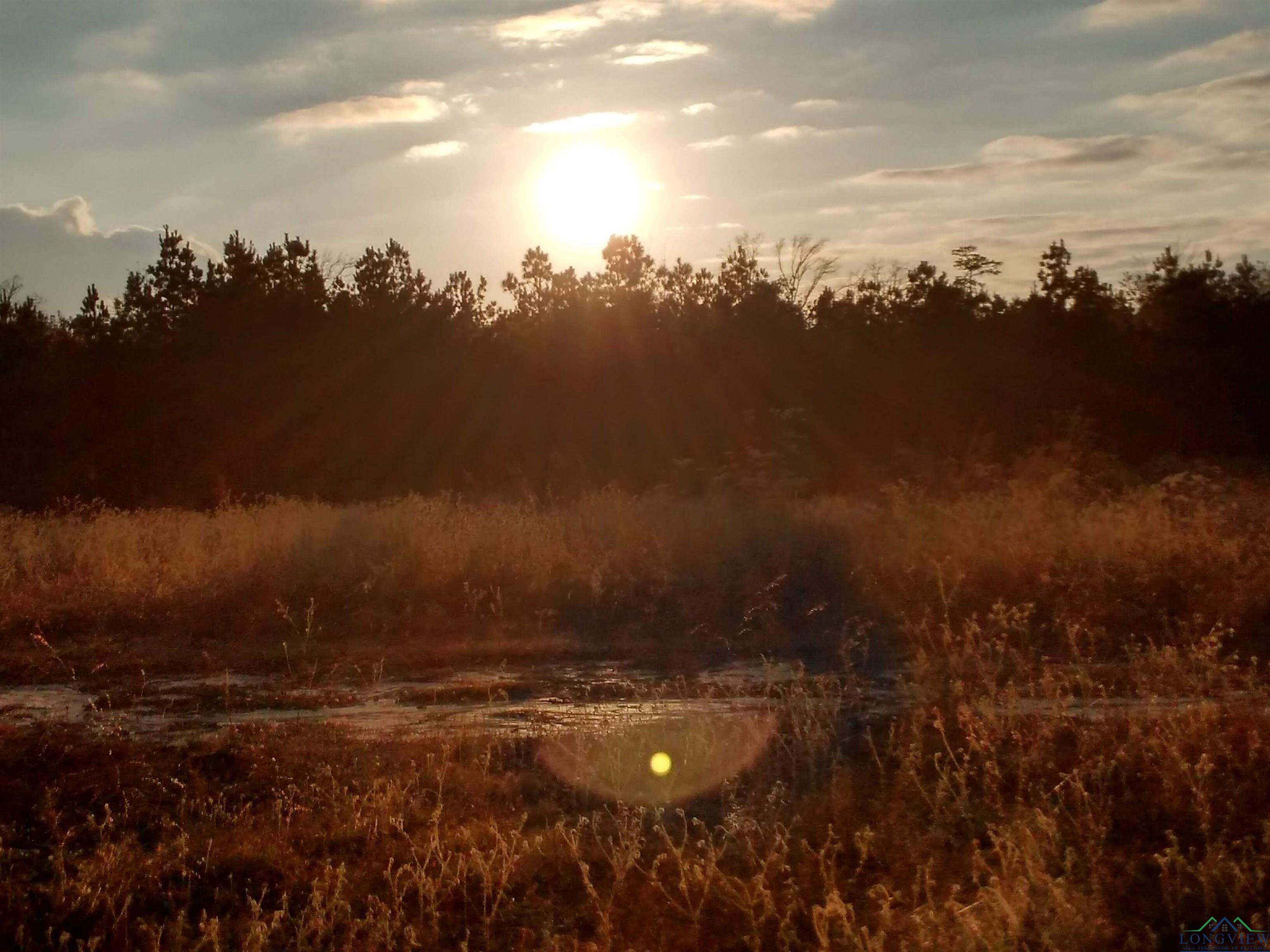 923 County Road 2306, Hughes Springs, Texas image 3