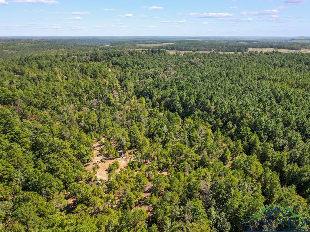 923 County Road 2306, Hughes Springs, Texas image 8