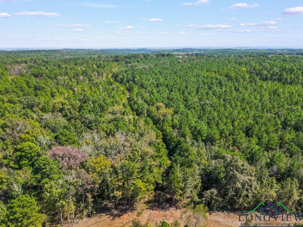 923 County Road 2306, Hughes Springs, Texas image 9