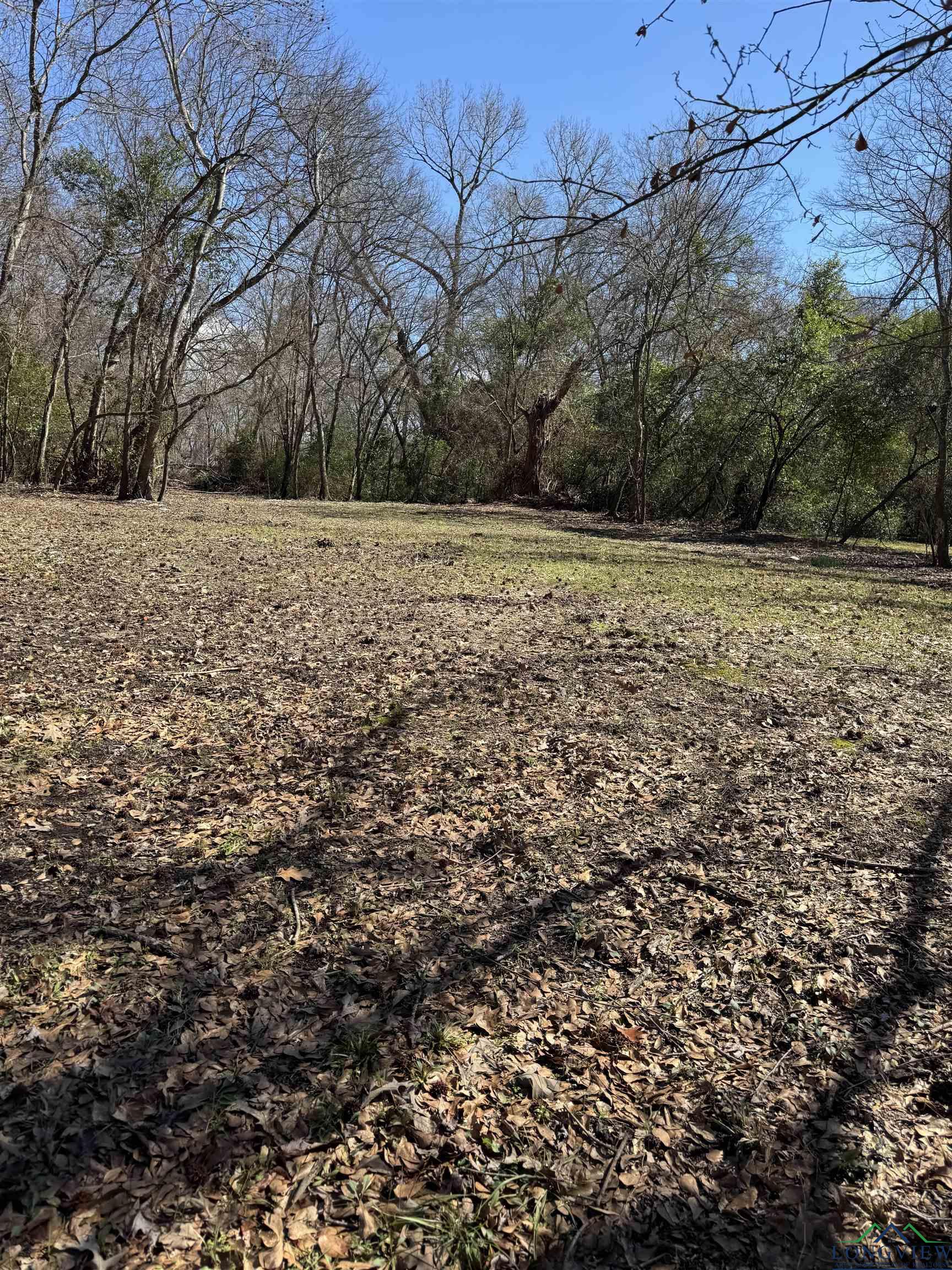 3302 Bronco St, Longview, Texas image 2