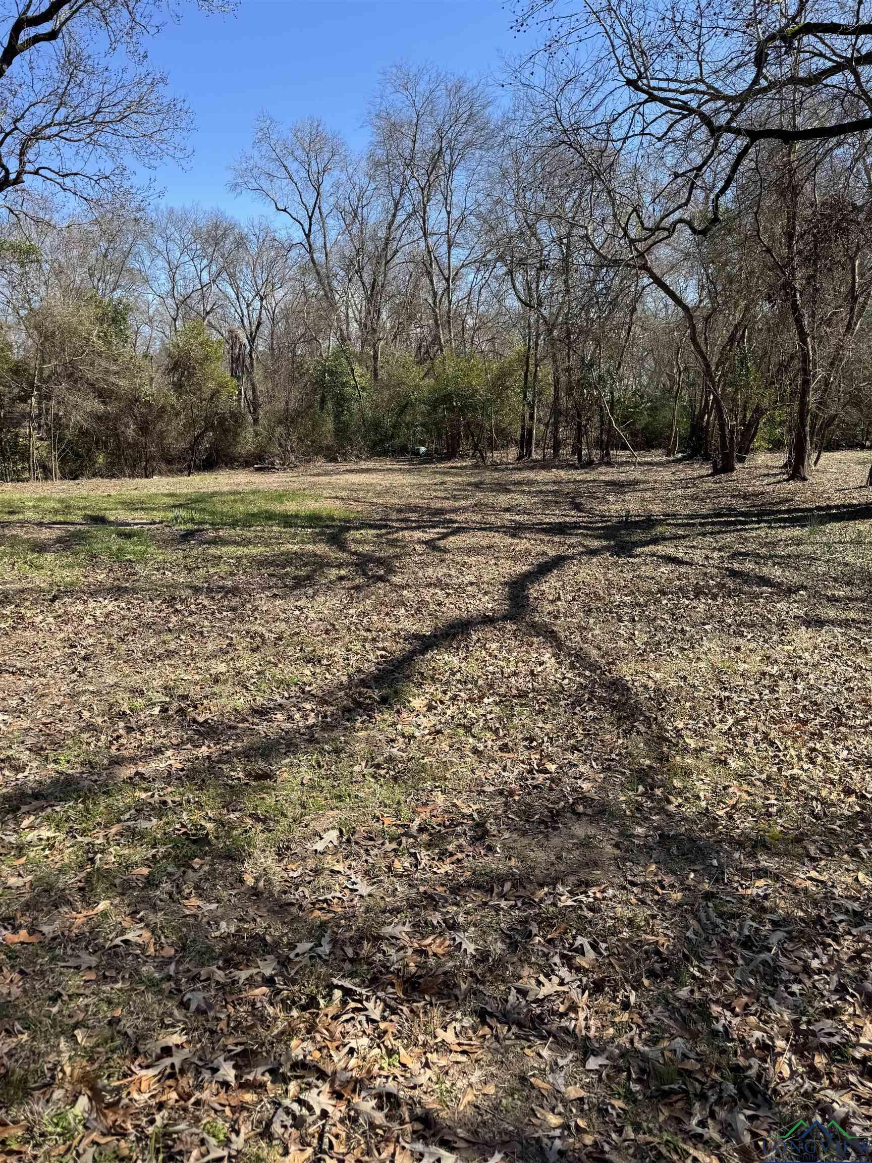 3302 Bronco St, Longview, Texas image 1