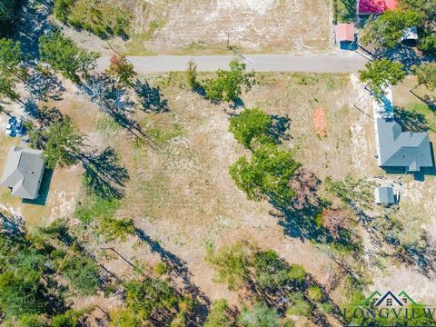 Vacant Land For Sale - TBD Angus Rd<br/> Big Sandy, TX 75755