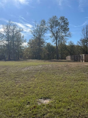 114 BLAINE TRL, LONGVIEW, TX 75604 - Image b3eb474b3cbcecd69fc070513afca60f/4007357089