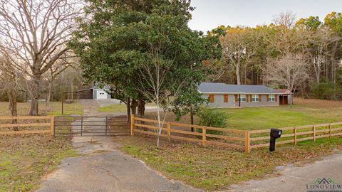 A home in New Diana