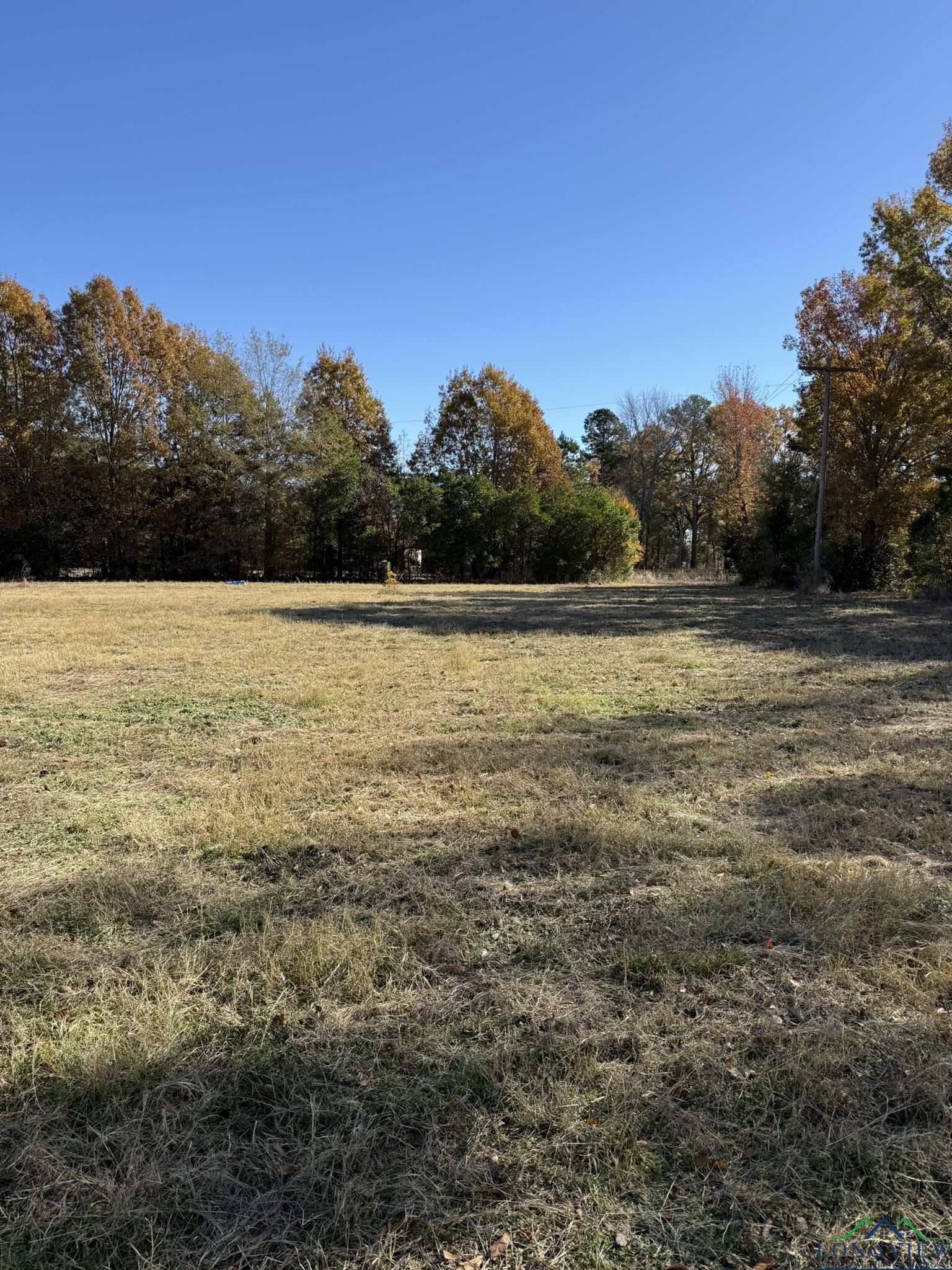 TBD W Bluebird Rd, Gilmer, Texas image 6